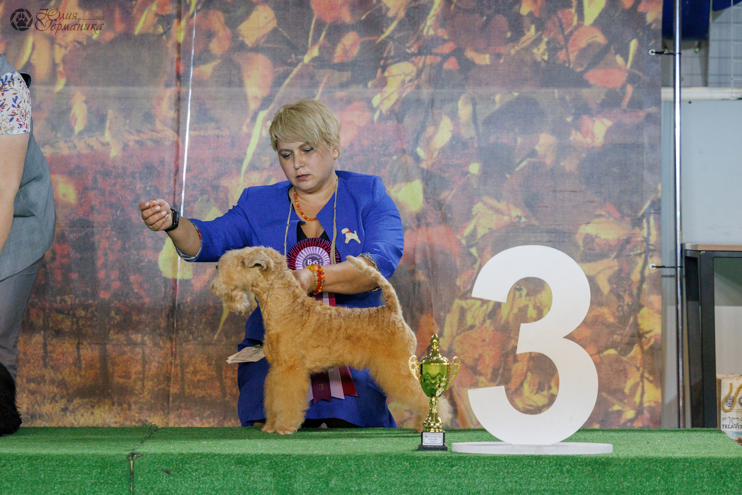 Грузия,Телави 2хCACIB 19-20.10.2024. Фотограф-анималист Юлия Германика