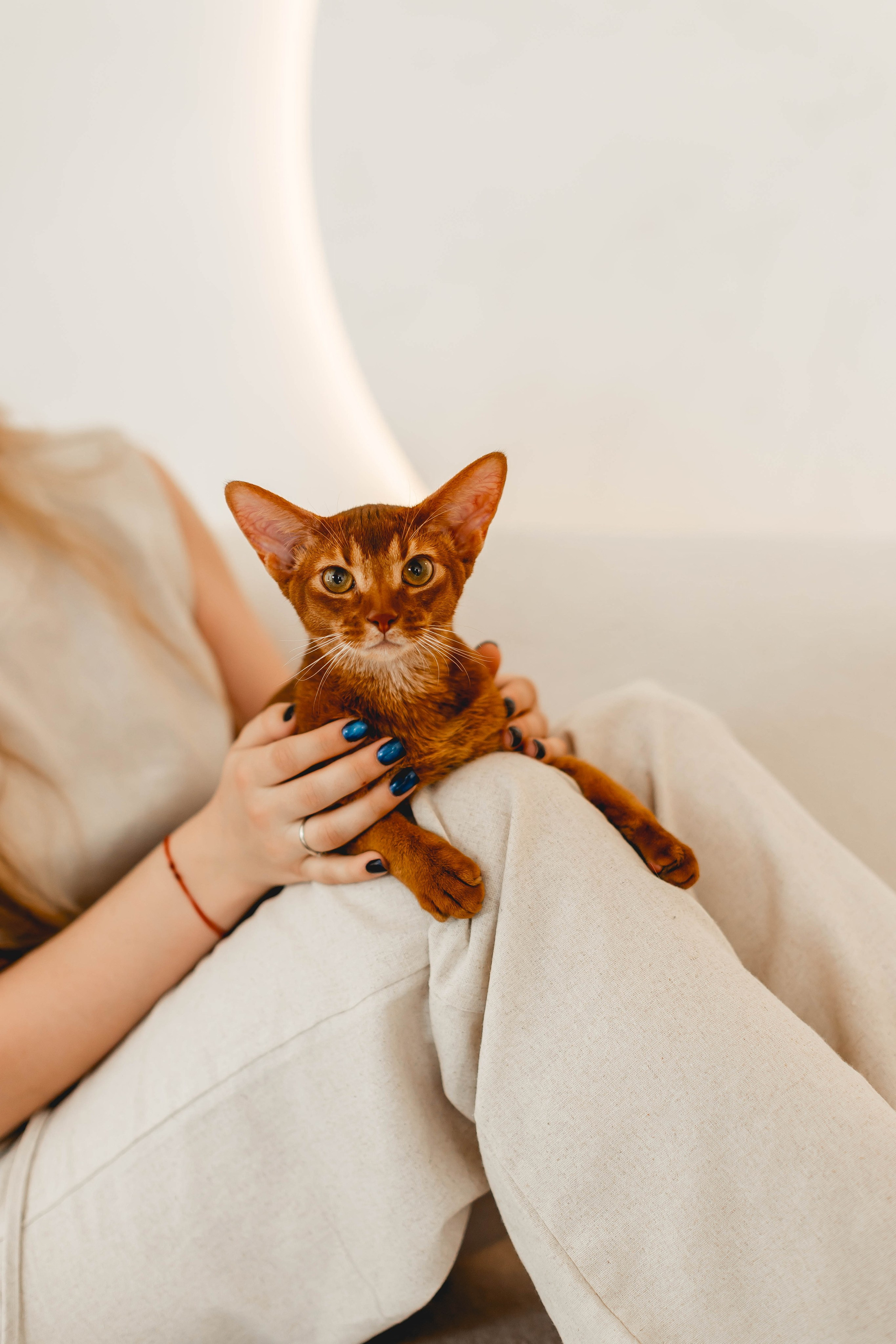 Victoriya. Главная