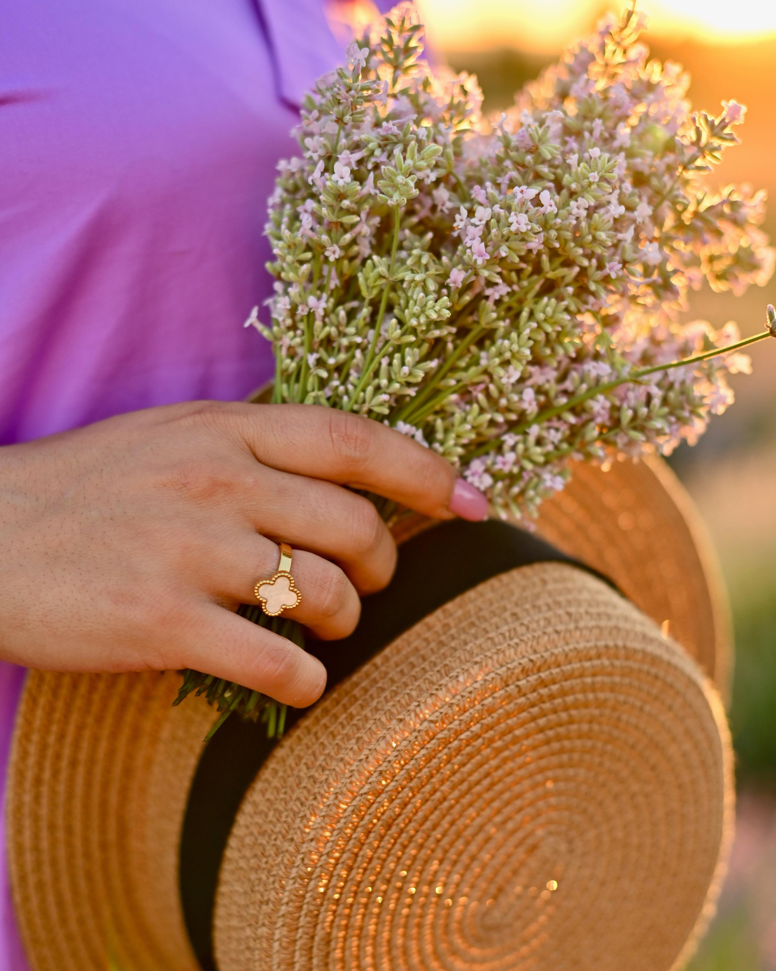 Лаванда. Семейный и детский фотограф Анапа