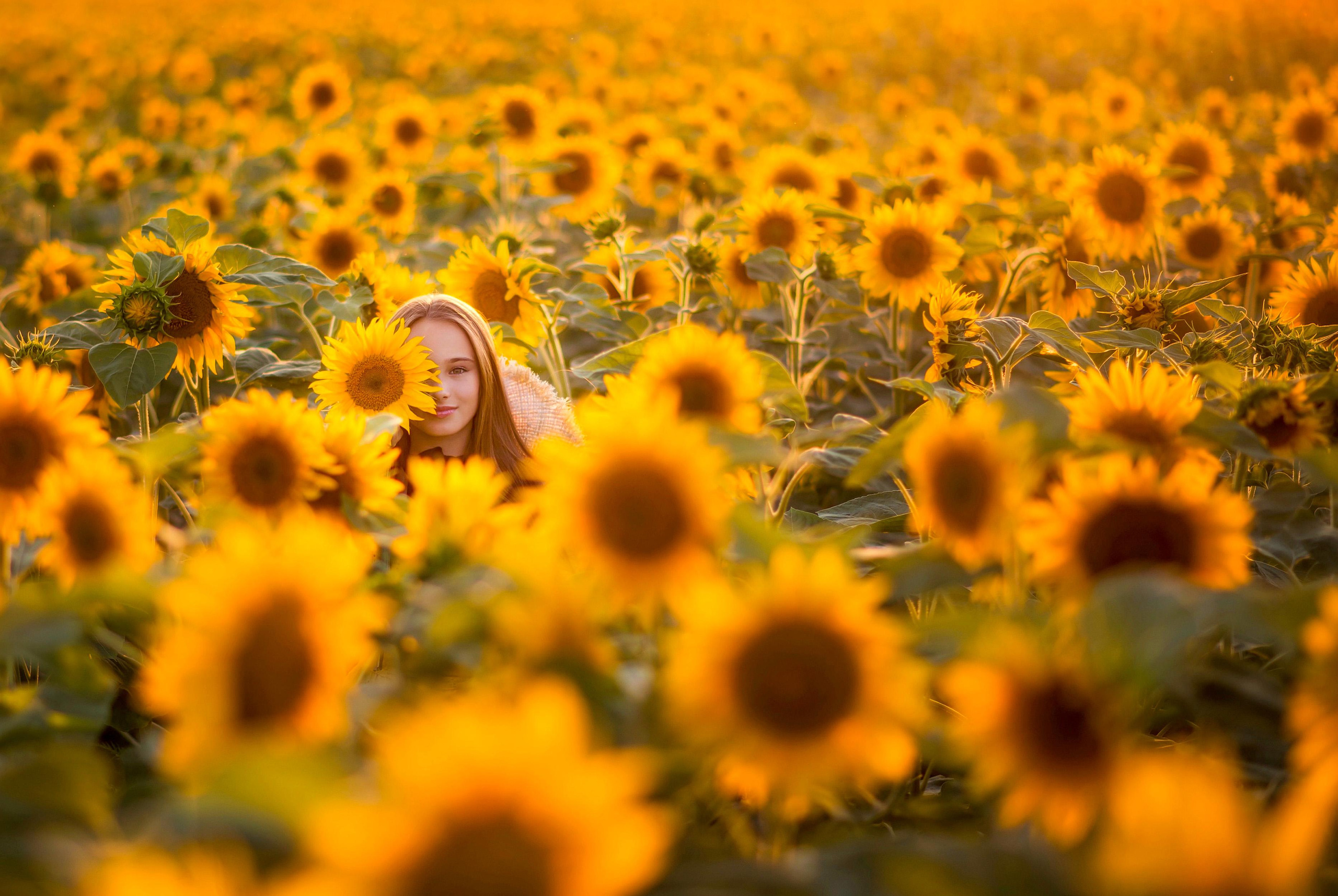 Подсолнухи. Семейный и детский фотограф Анапа