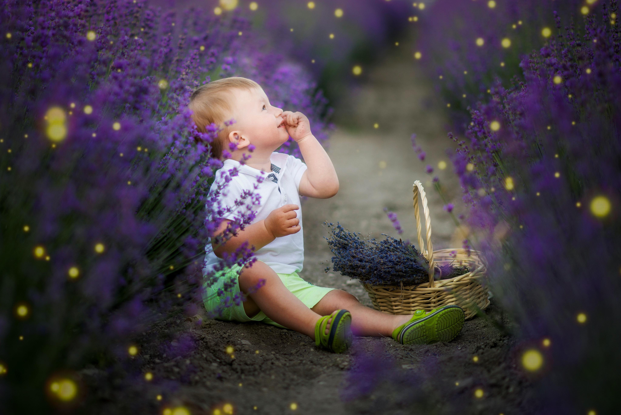 Лаванда. Семейный и детский фотограф Анапа