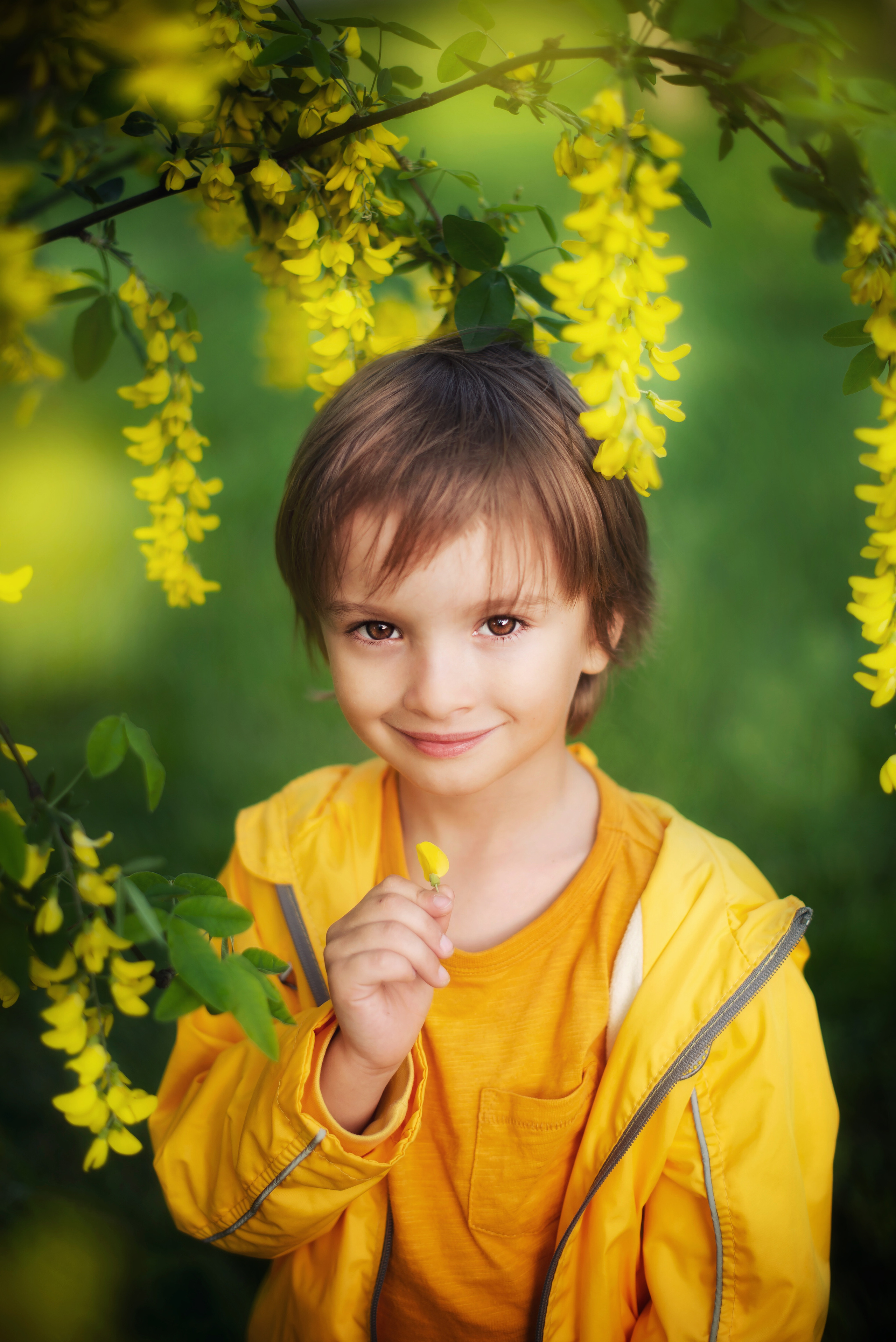 Глициния. Семейный и детский фотограф Анапа