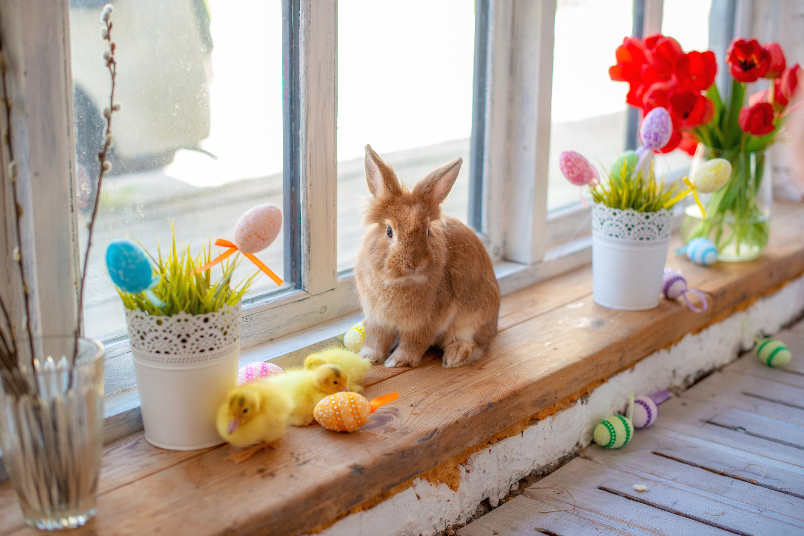 Пасхальные съемки. Семейный и детский фотограф Анапа