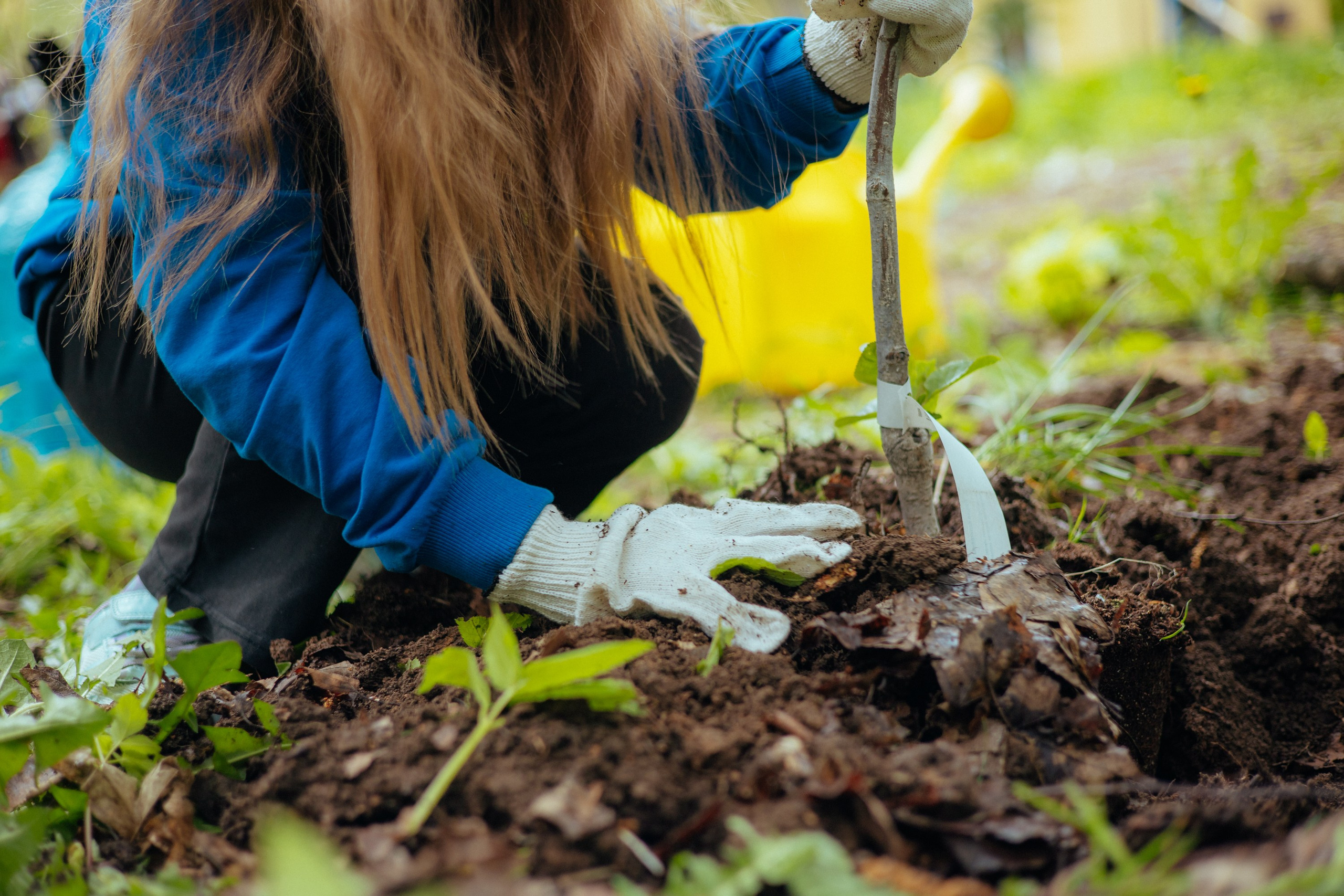 Сад памяти | волонтеры победы
