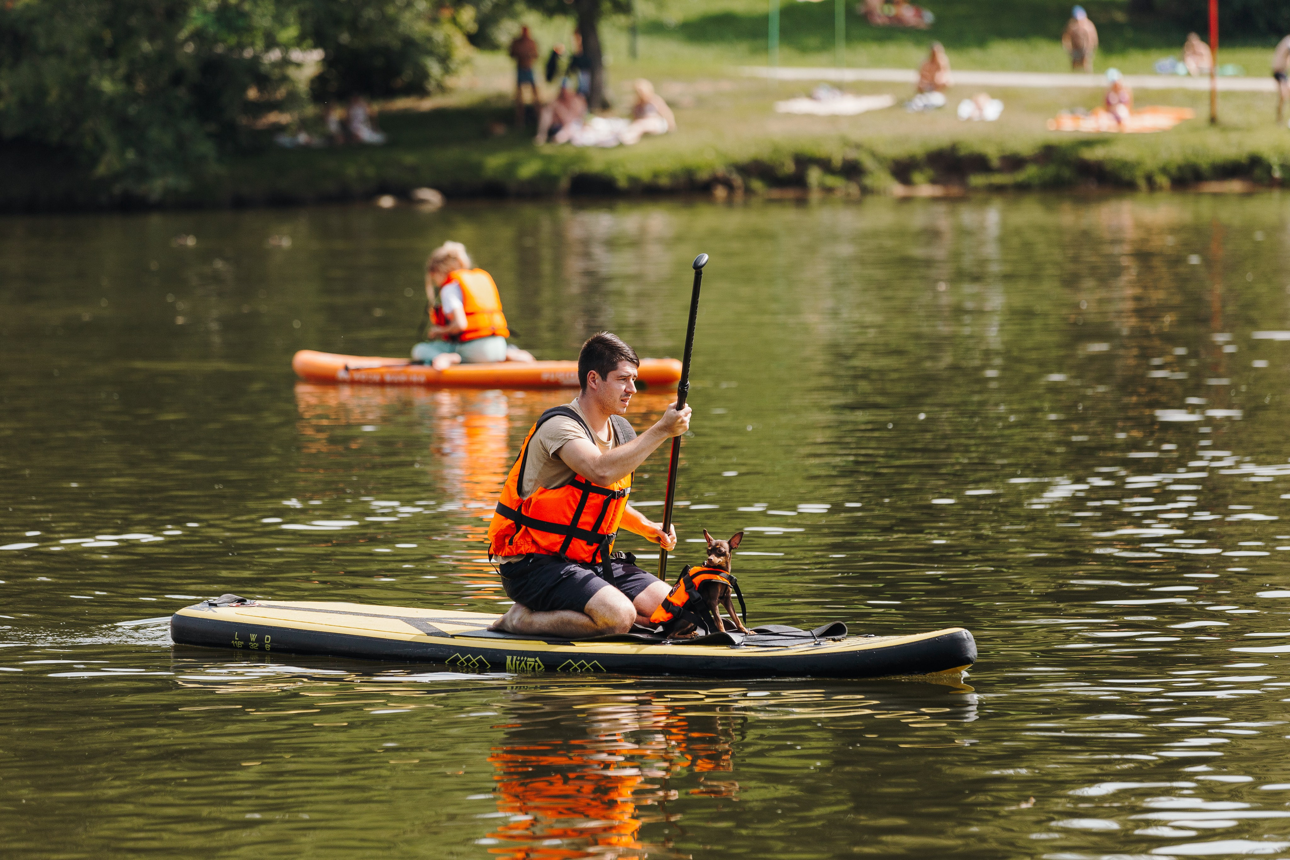 Petshop Sup day. Фотограф анималист Кристина Карпова, Москва