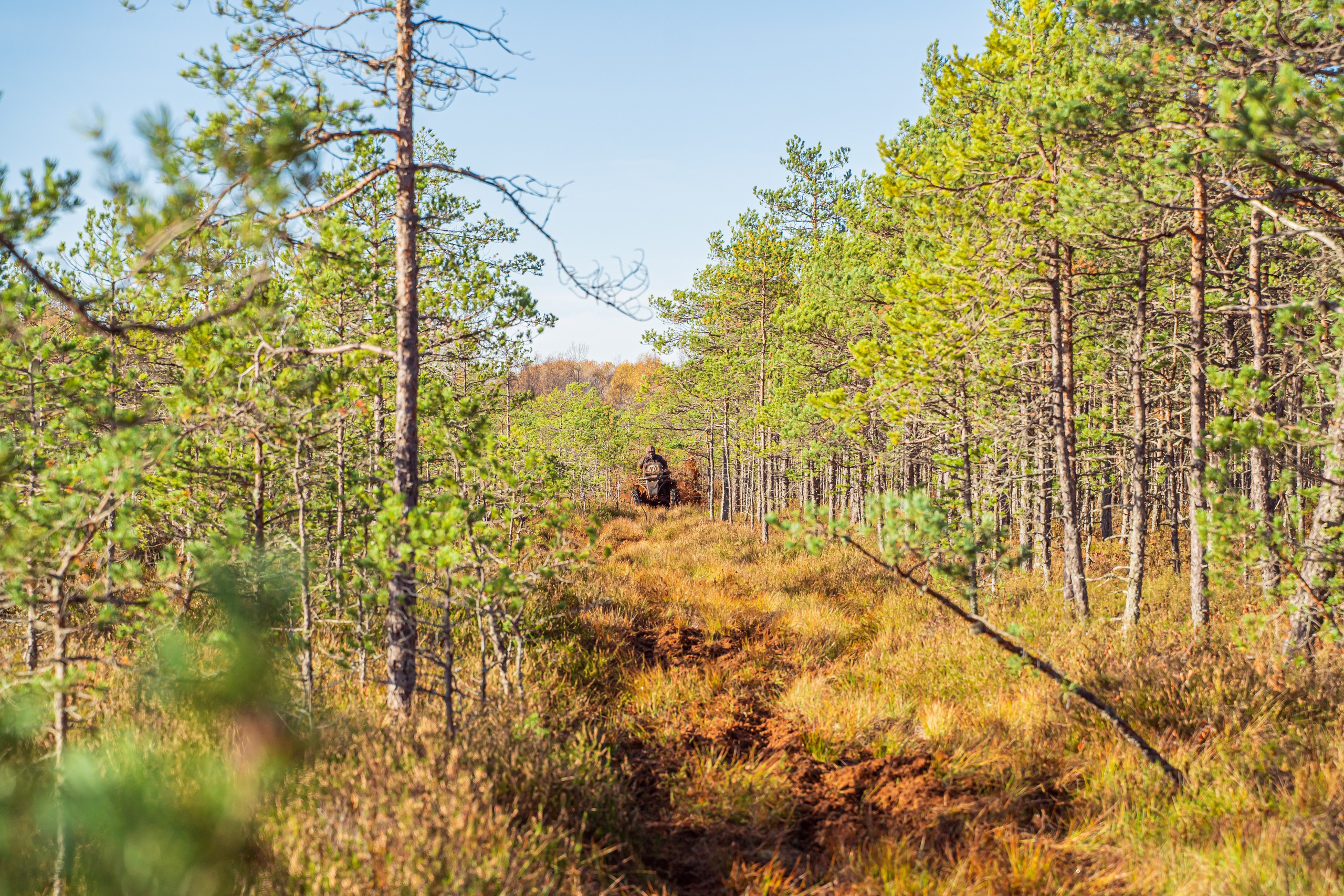 Спортивный репортажный фотограф Санкт-Петербург. Свадебный, семейный, портретный, репортажный фотограф в Санкт-Петербурге
