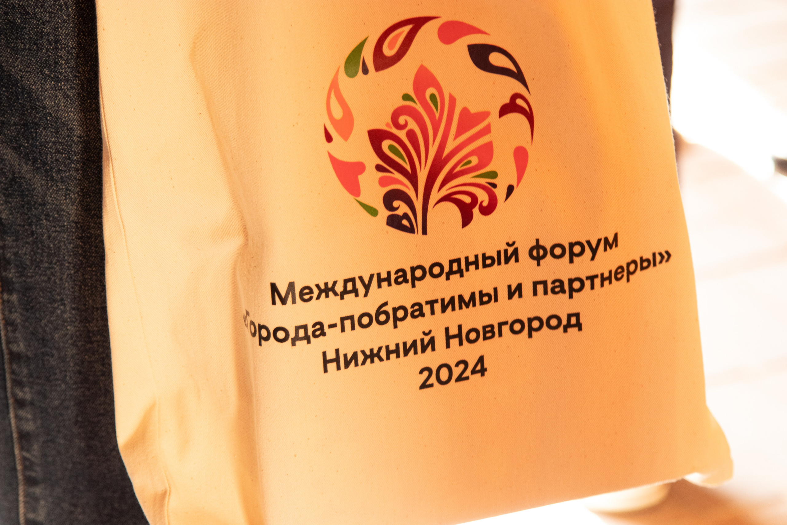 Иностранная делегация Китай, Беларусь. Фотограф в Нижнем Новгороде Екатерина Хисматулина