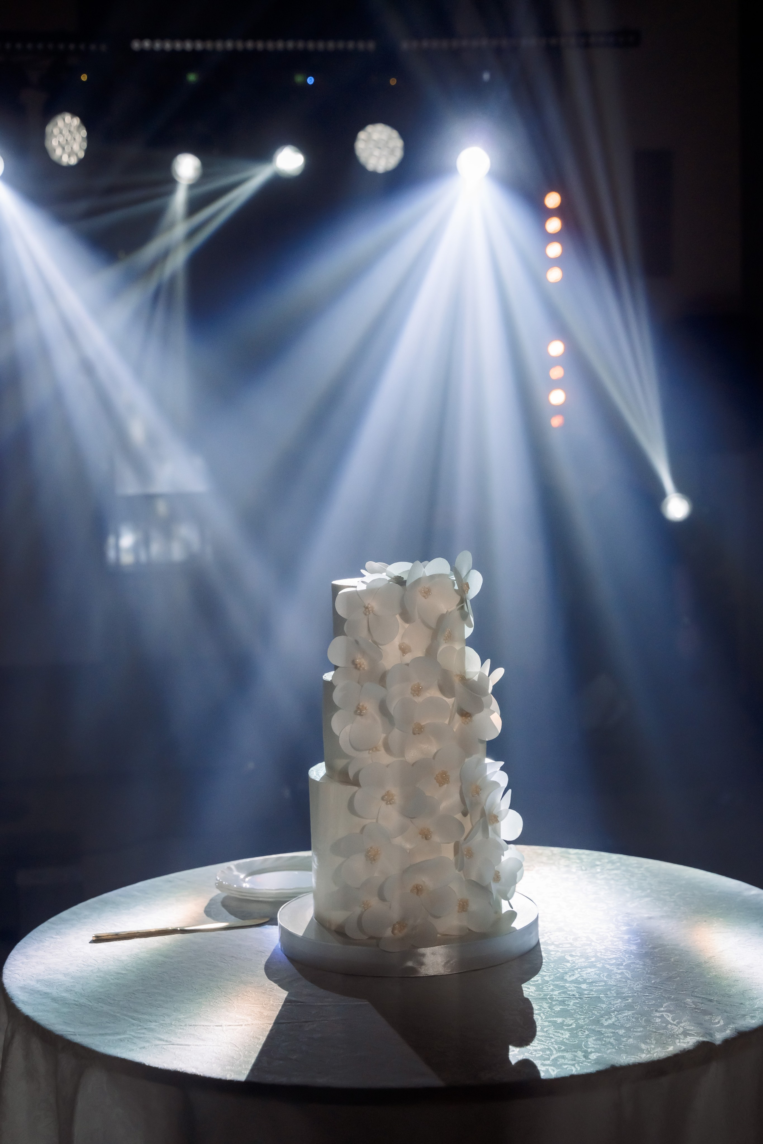 Wedd moments. Семейный фотограф в Саратове