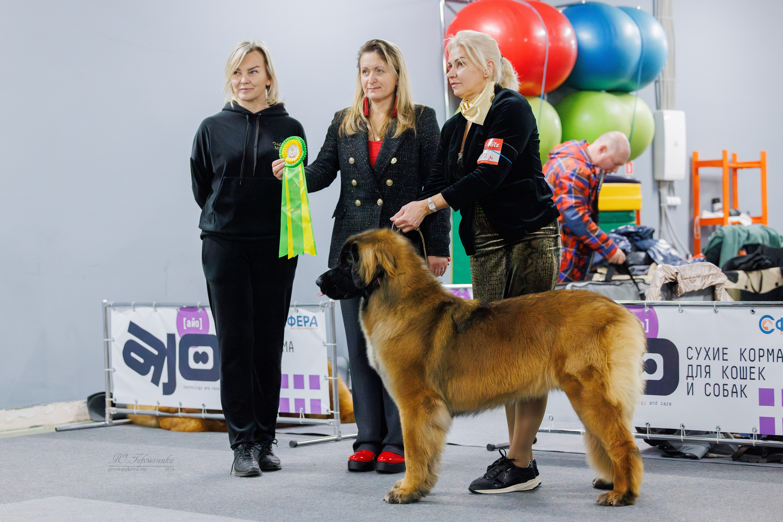 Крокус 21.12.2024,Сфера 29.12.2024. Фотограф-анималист Юлия Германика