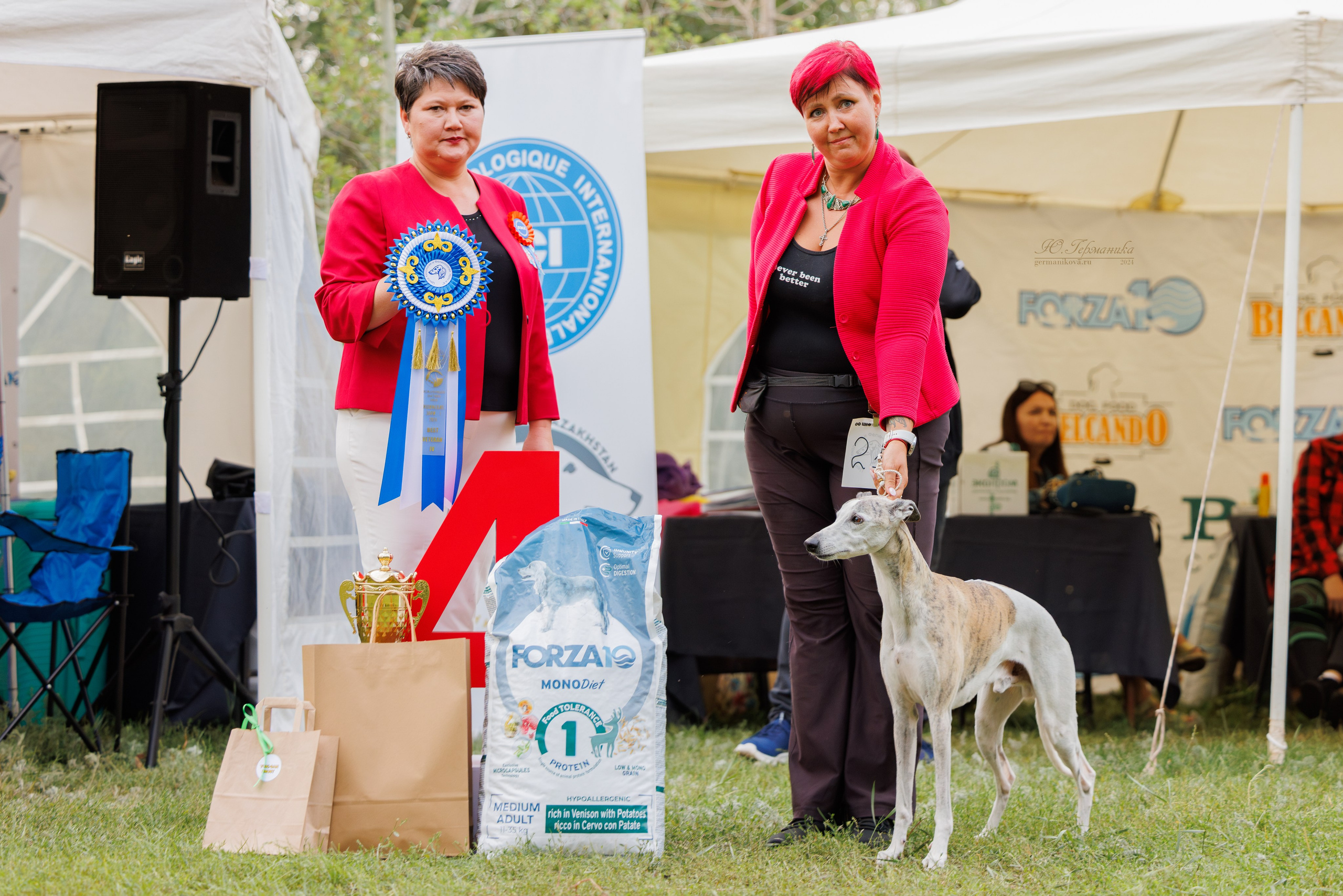 Астана 2хCACIB 17-18.08.2024. Фотограф-анималист Юлия Германика