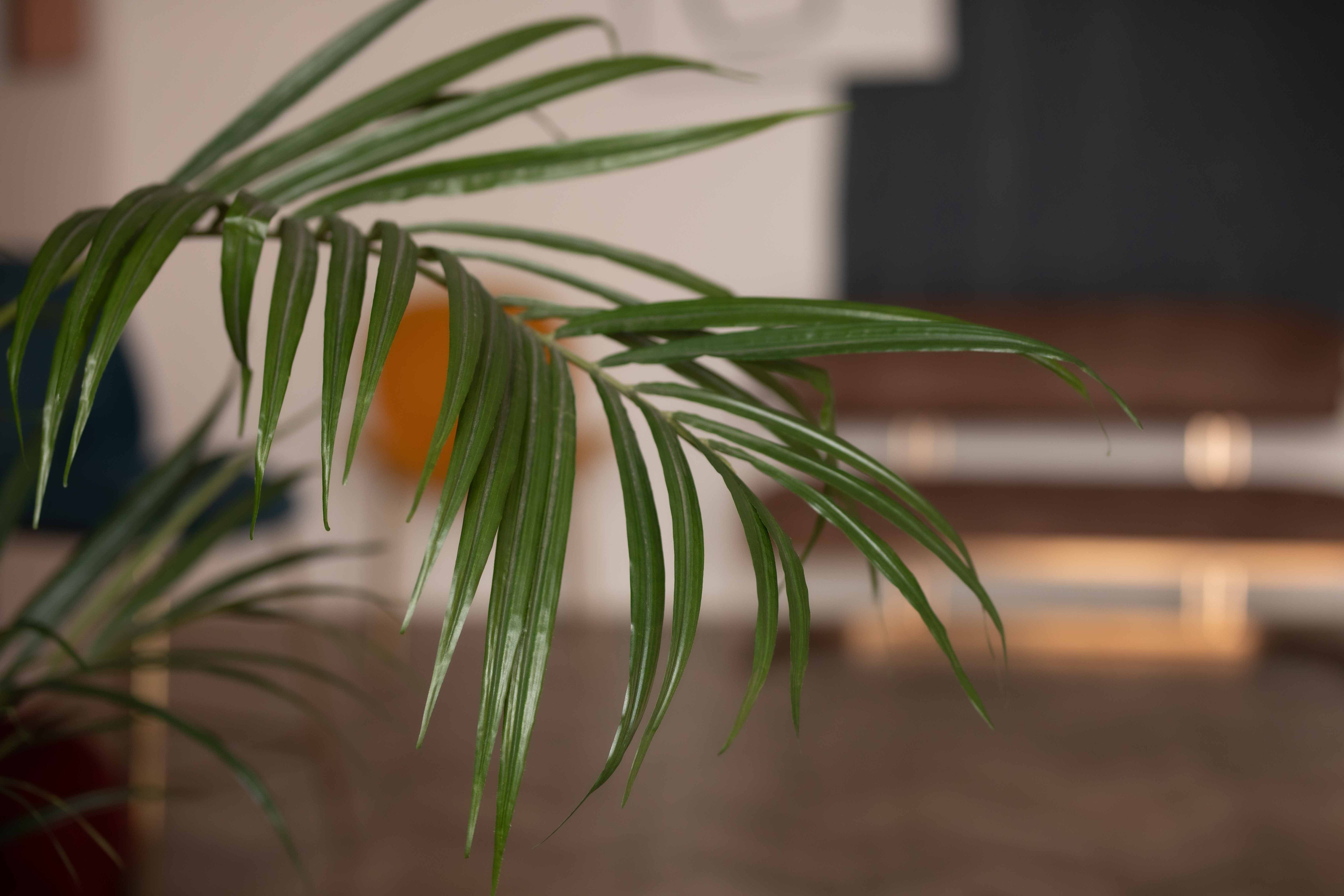 Отзывы. ЧБ Фотограф Ольга Лесли