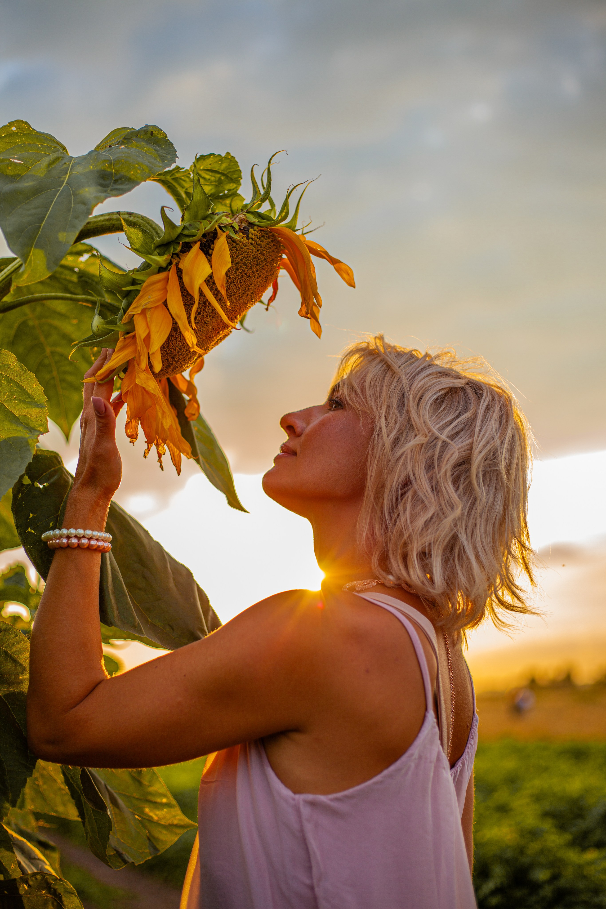 Подсолнухи!