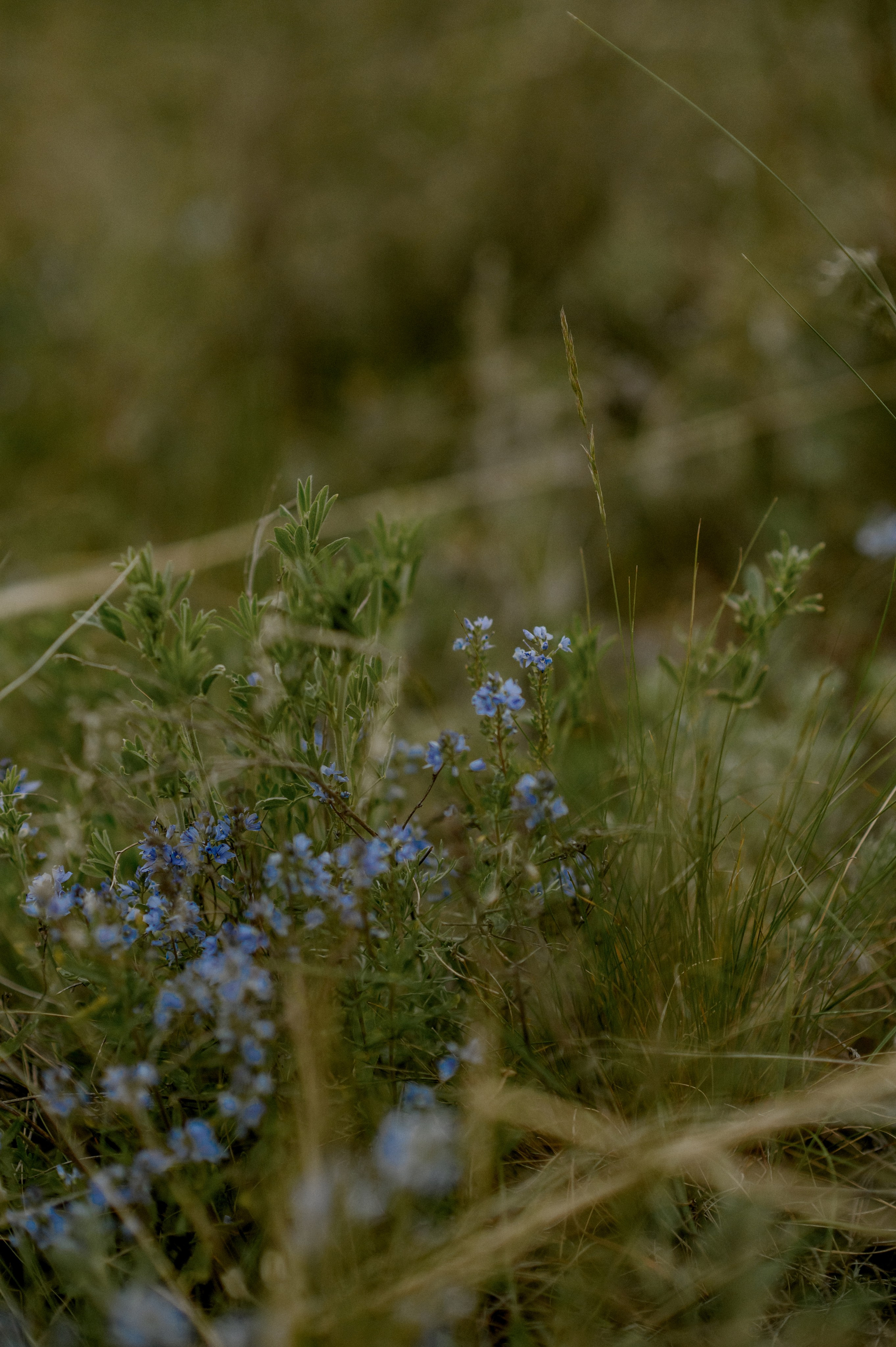 Соня и Дина. Фотограф Мария Стрелкова
