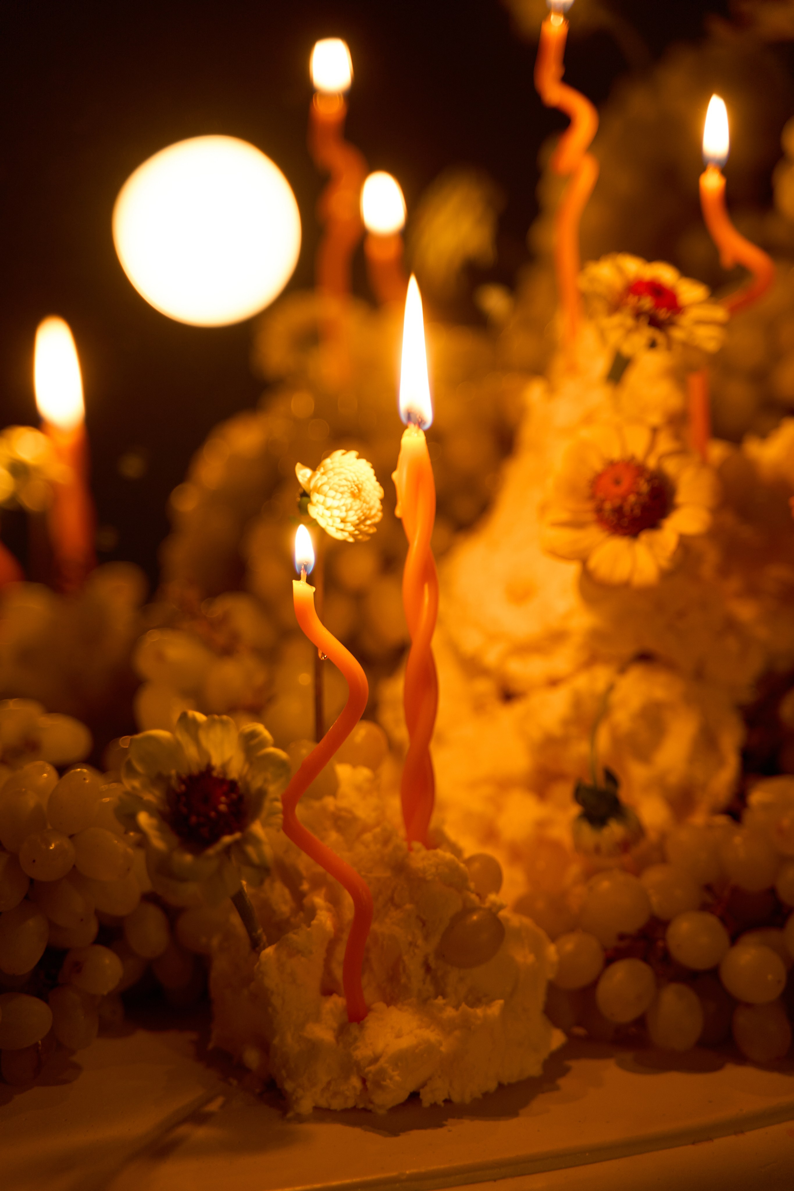 Михаил и Софья. Главная