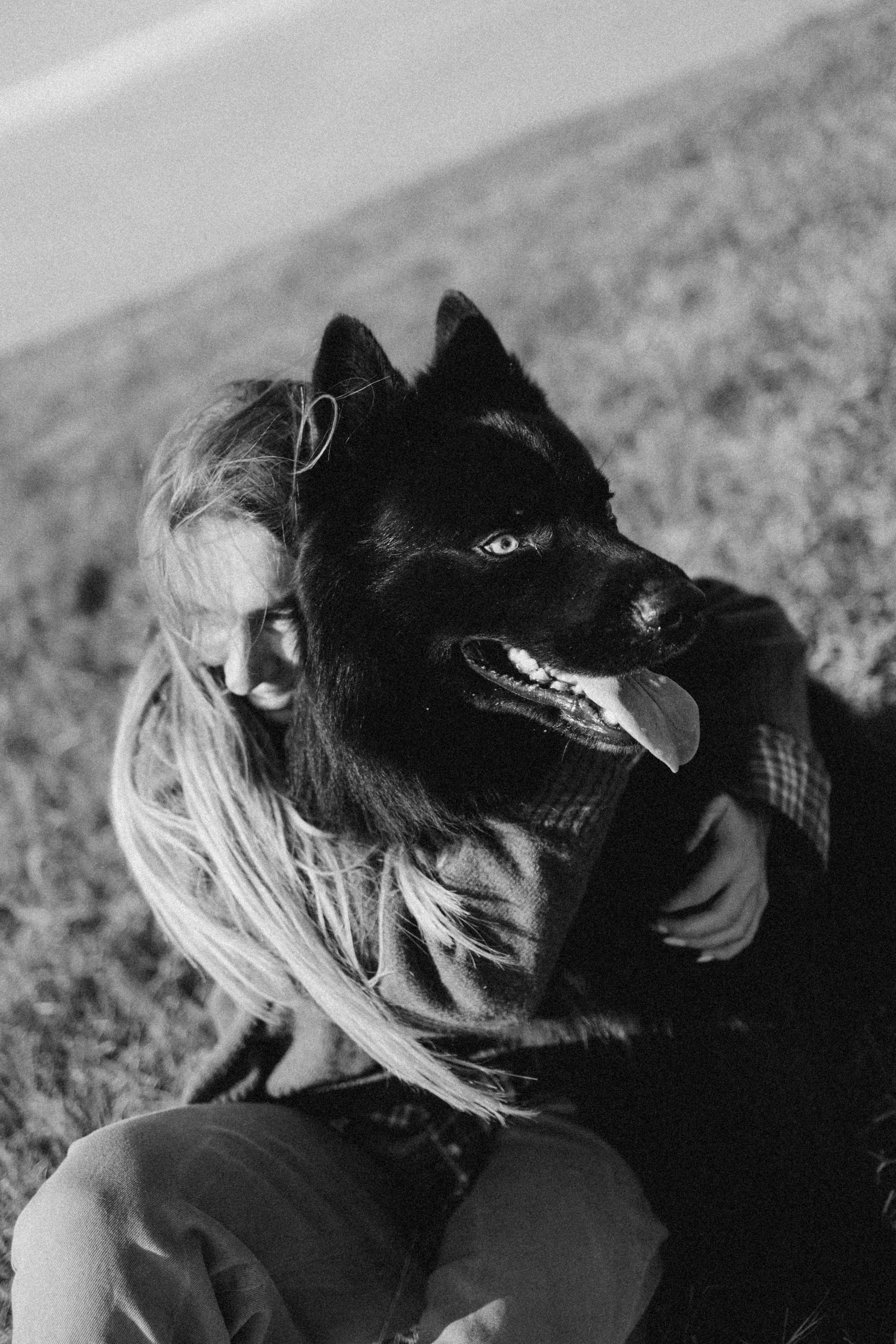 Лора и Джанго. Фотограф — Анималист | Санкт-Петербург