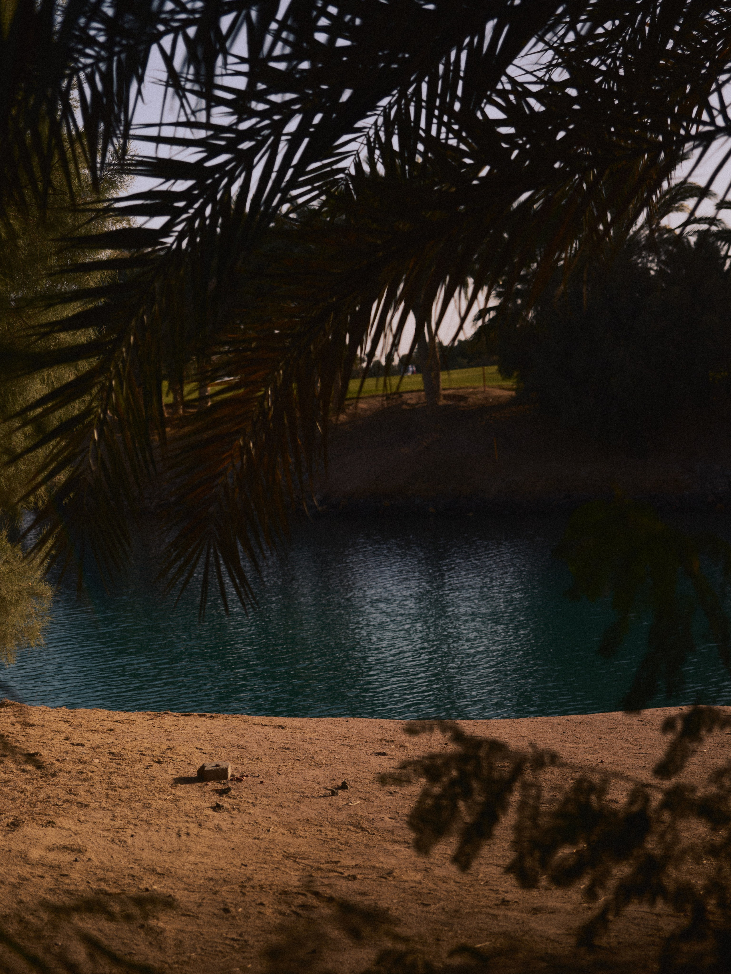 Природа. Jorgis Talè — photographer, kind person, teacher of arts and other mag