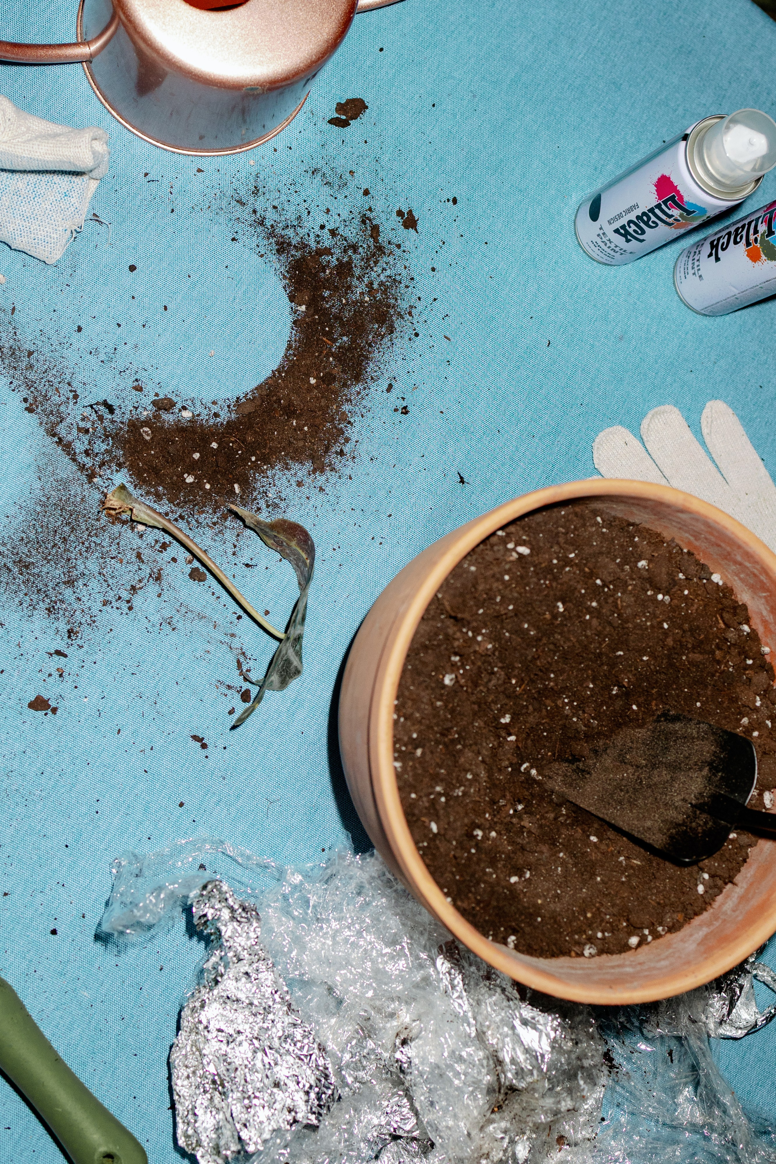 LEVI'S LUV. Fusion Wedding Photographer