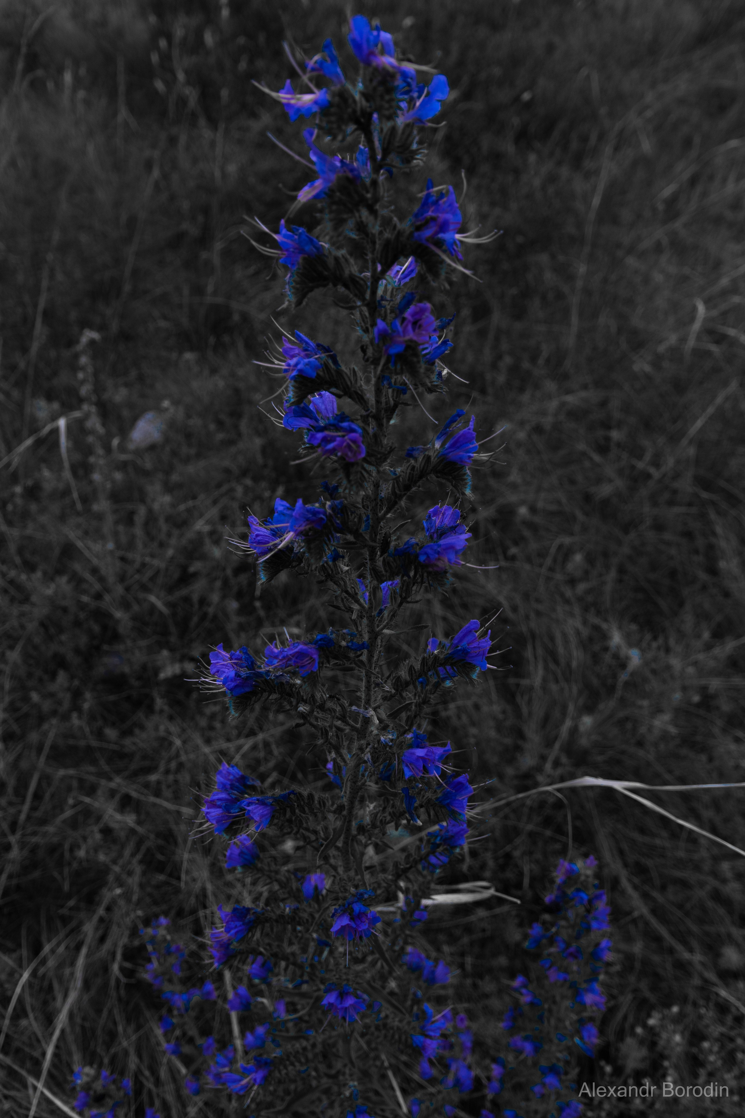 Пейзажи. Профессиональный фотограф Александр Бородин