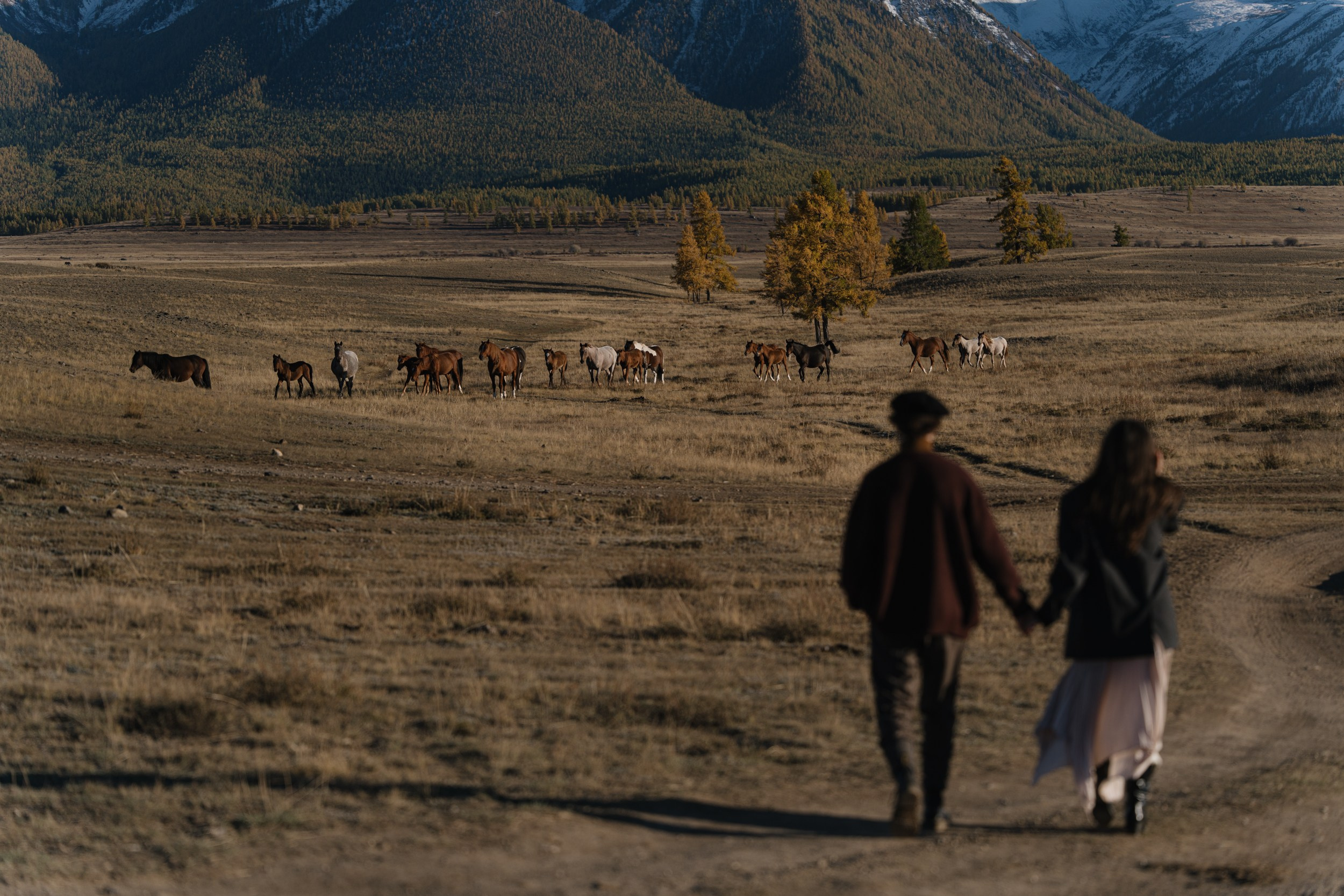 Road Trip to Altay. Фотограф Томск, Новосибирск Влад Свириденко