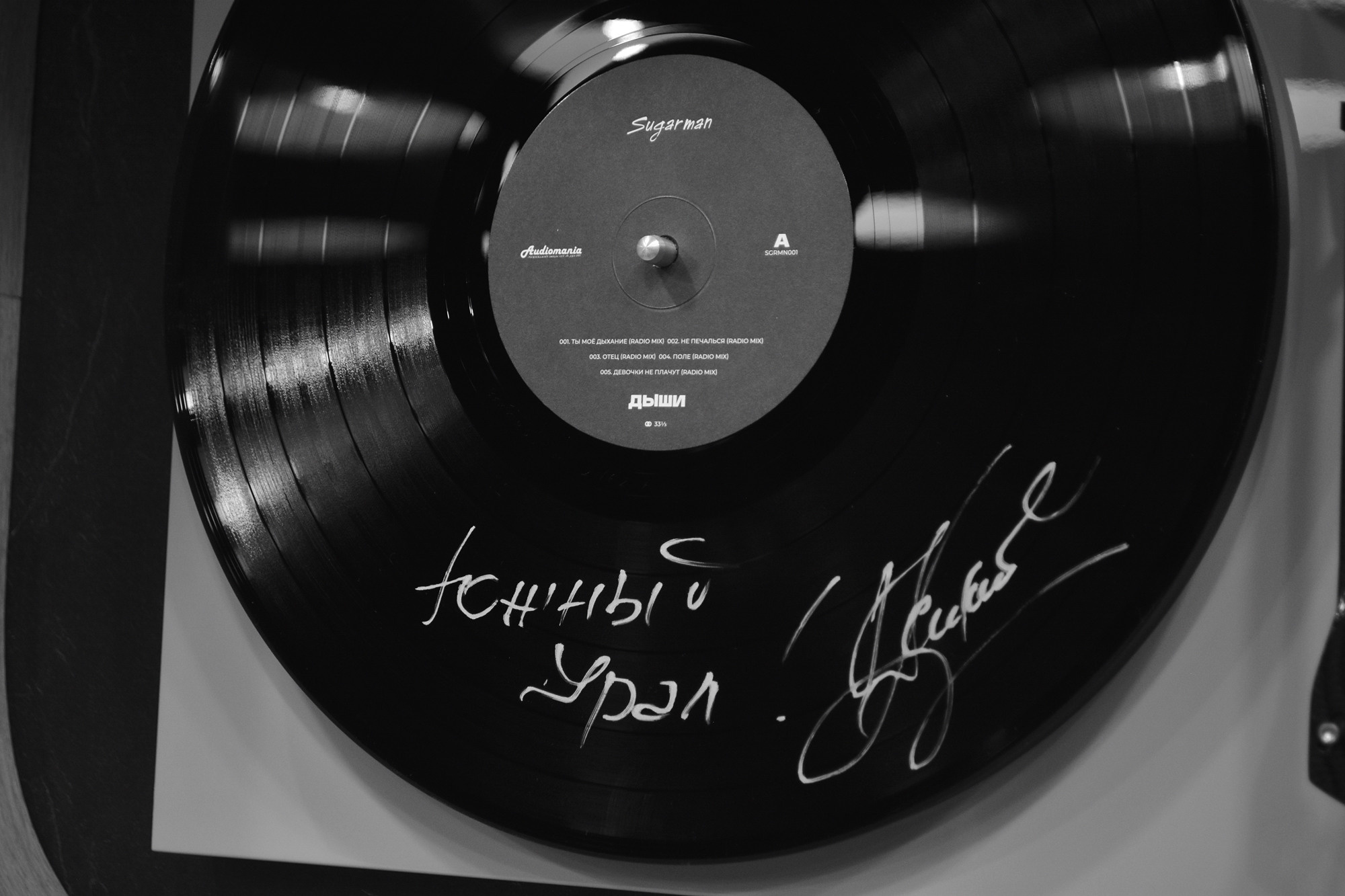 Wild Fest при поддержки Регинас. Evgeniy Roslov