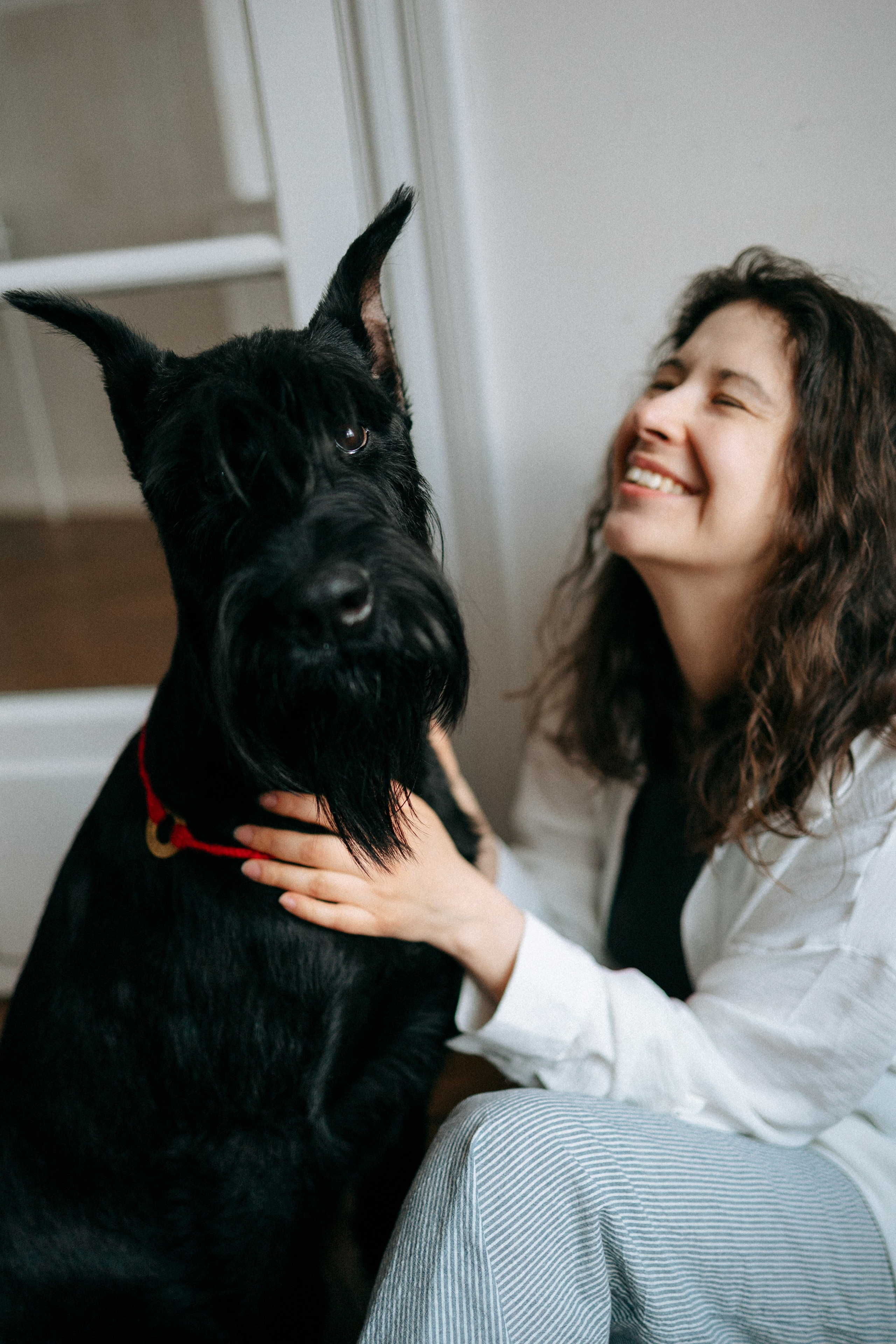 Умбра и Даша. Фотограф анималист Анастасия Пикей