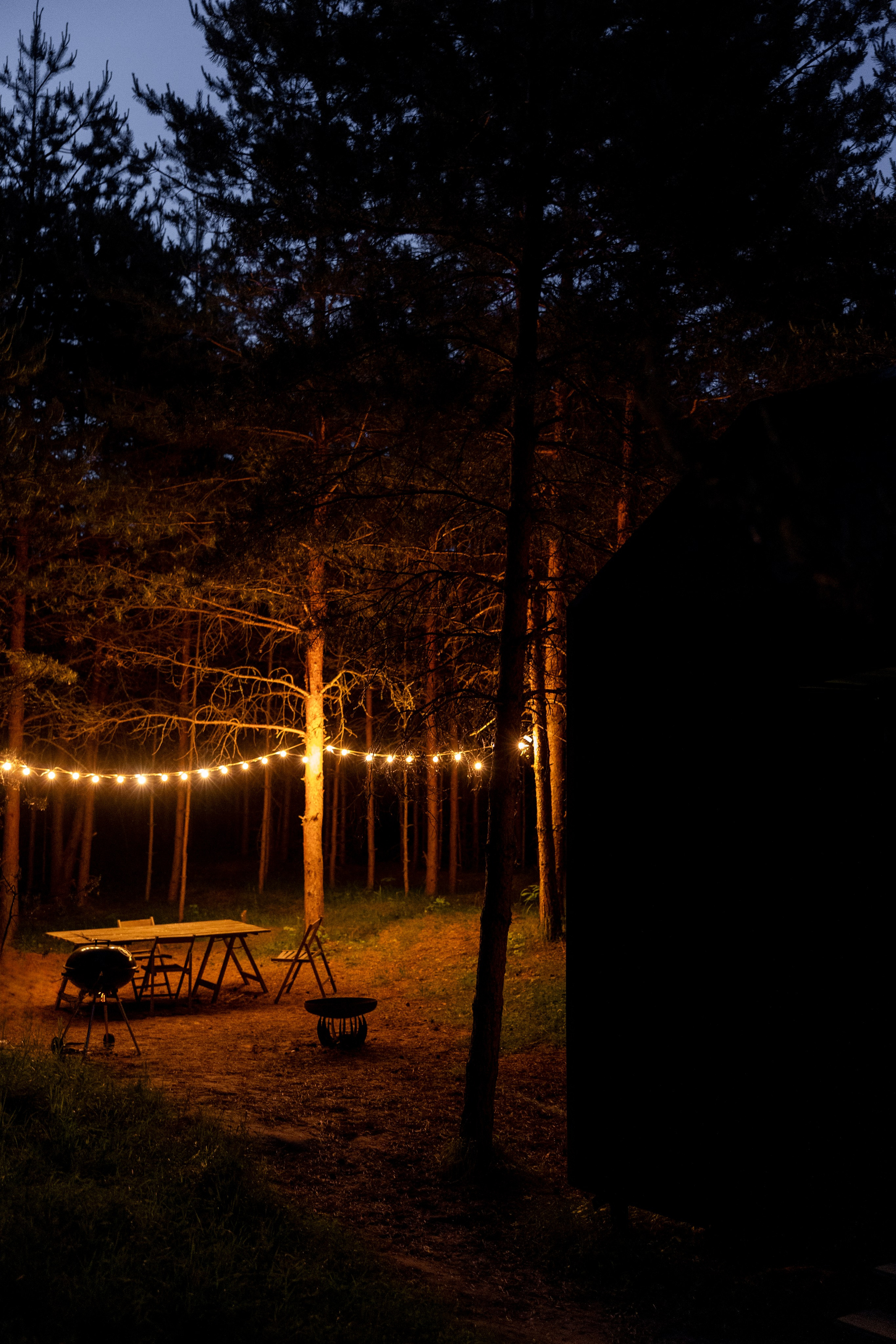 Съемка с собакой. Анастасия Белаш