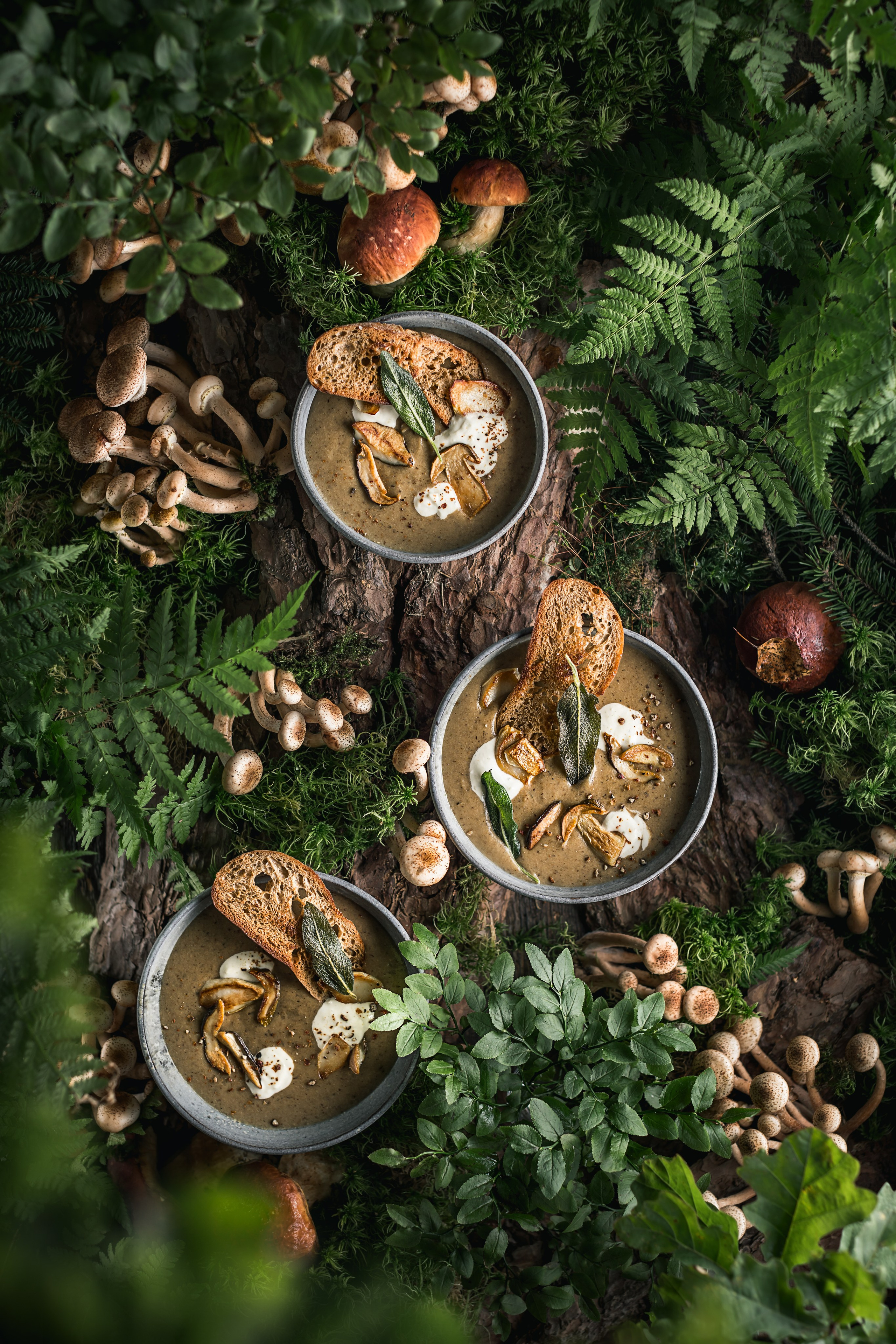 Крем суп из белых грибов. Foodie Stories (гастрономические истории) рекламная фуд-фотосъёмка, Москва