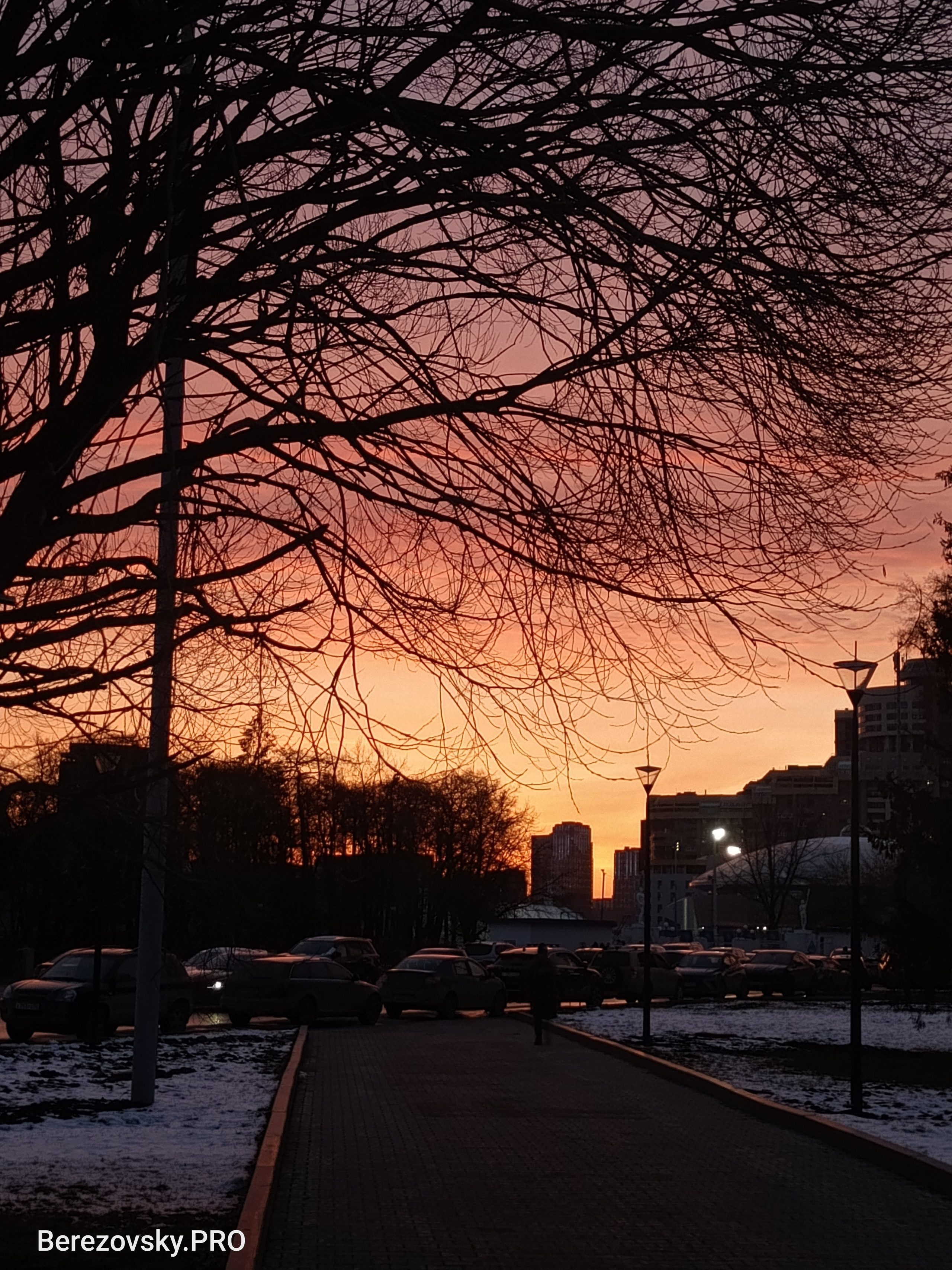 Солнечный. Фотограф в Санкт-Петербурге Березовский Даниил