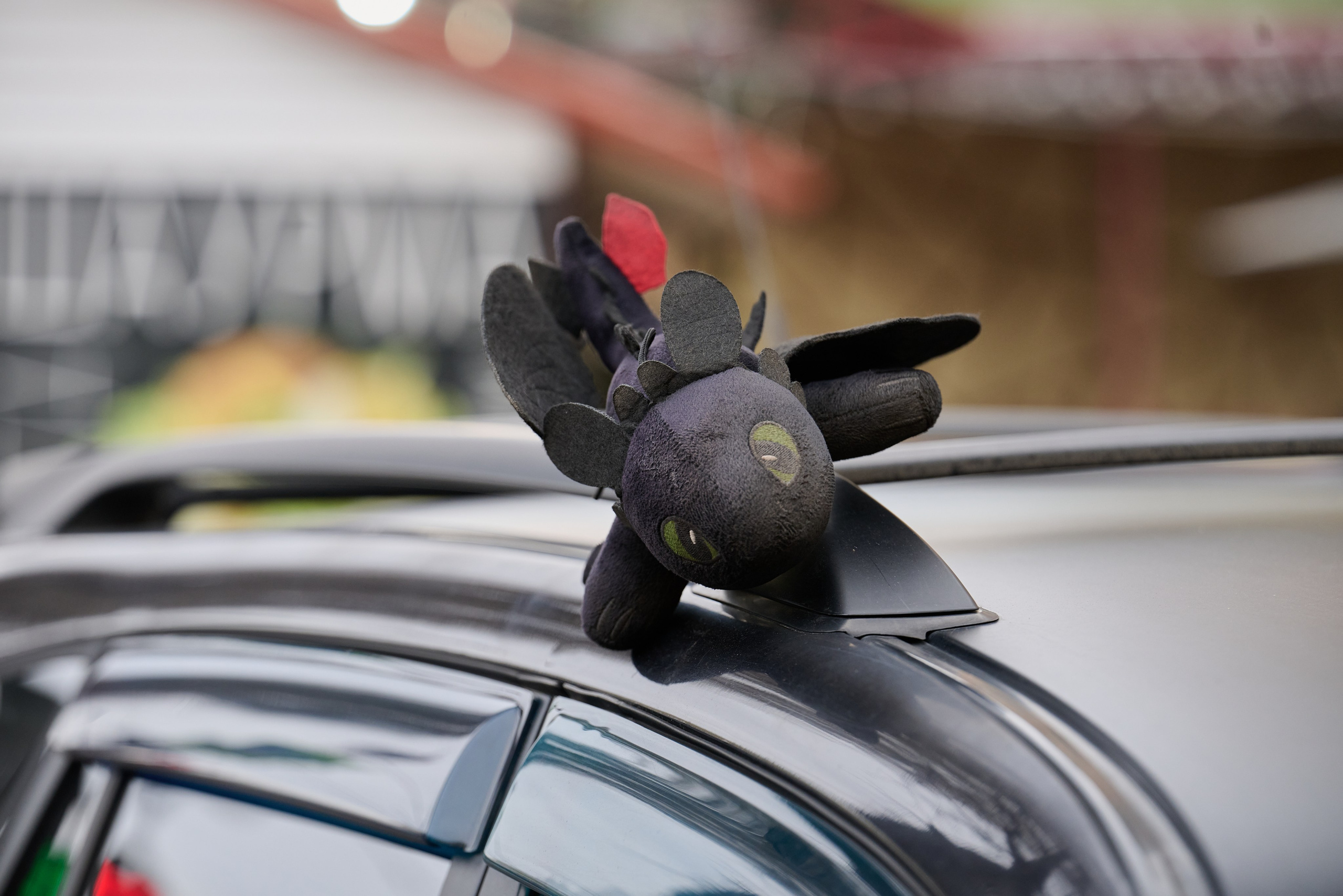 Луганск. Январь 2026. Фотопроект «Территории»