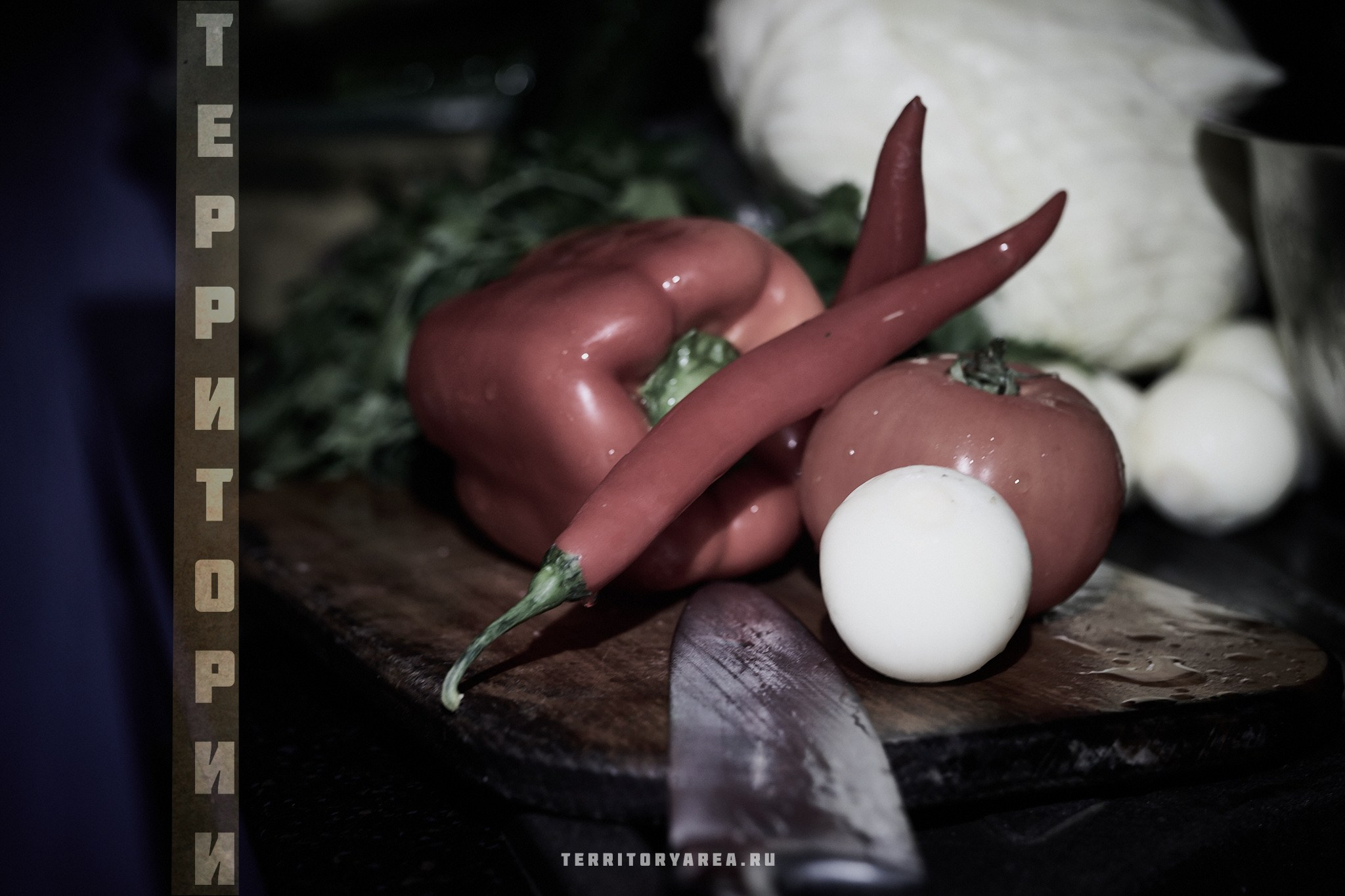 Открытки фотопроекта «Территории». Фотопроект «Территории»