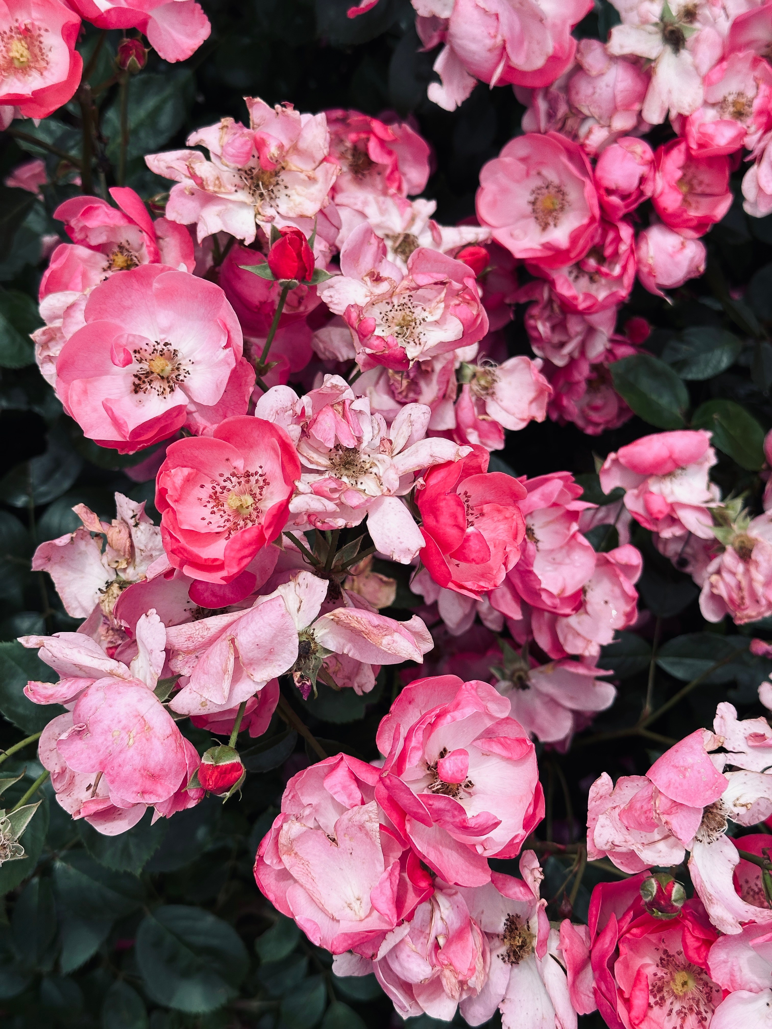 Флора и фауна. Смотри, красота!