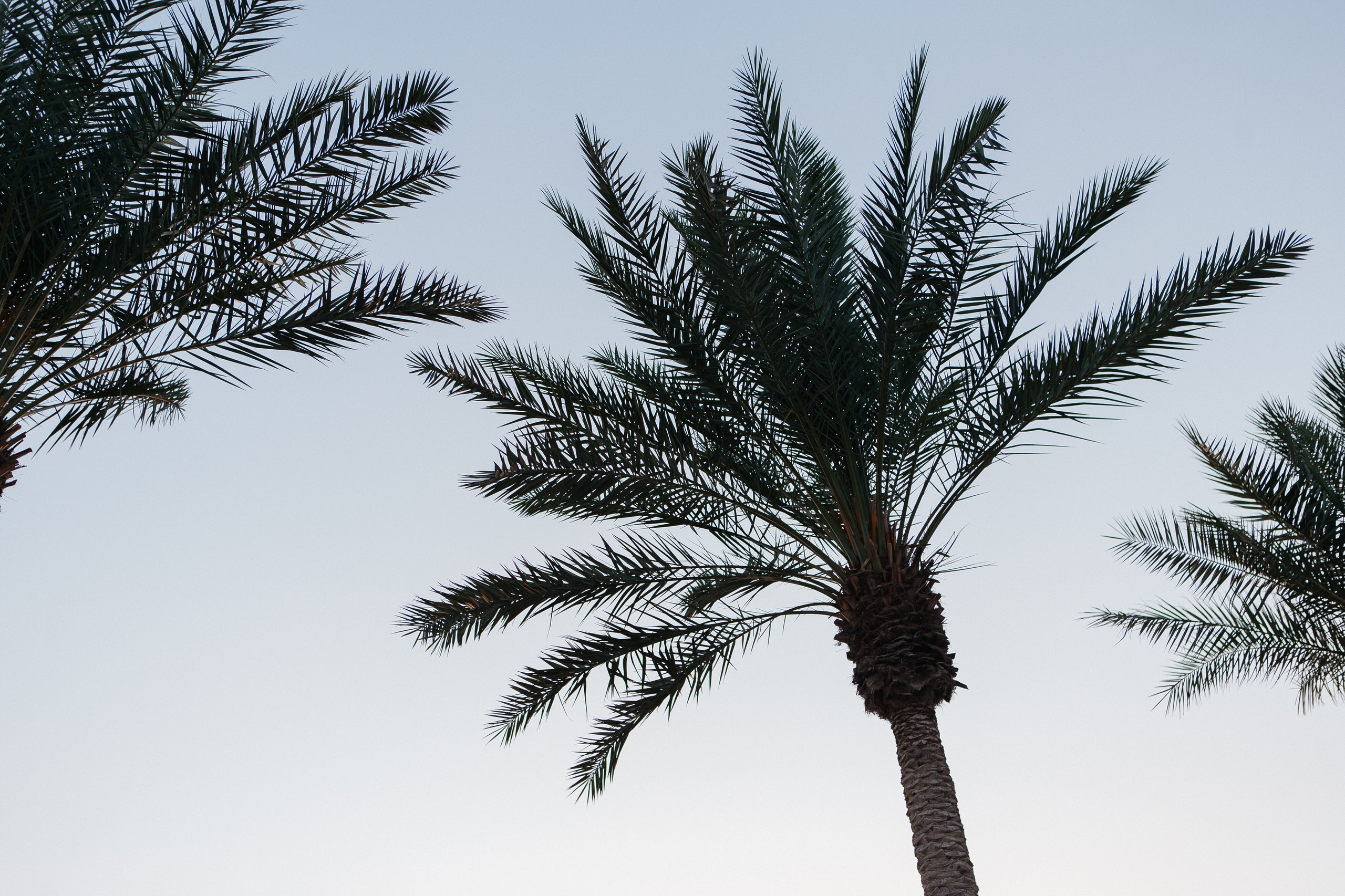 Creek walk. Valery Litvinova Photography