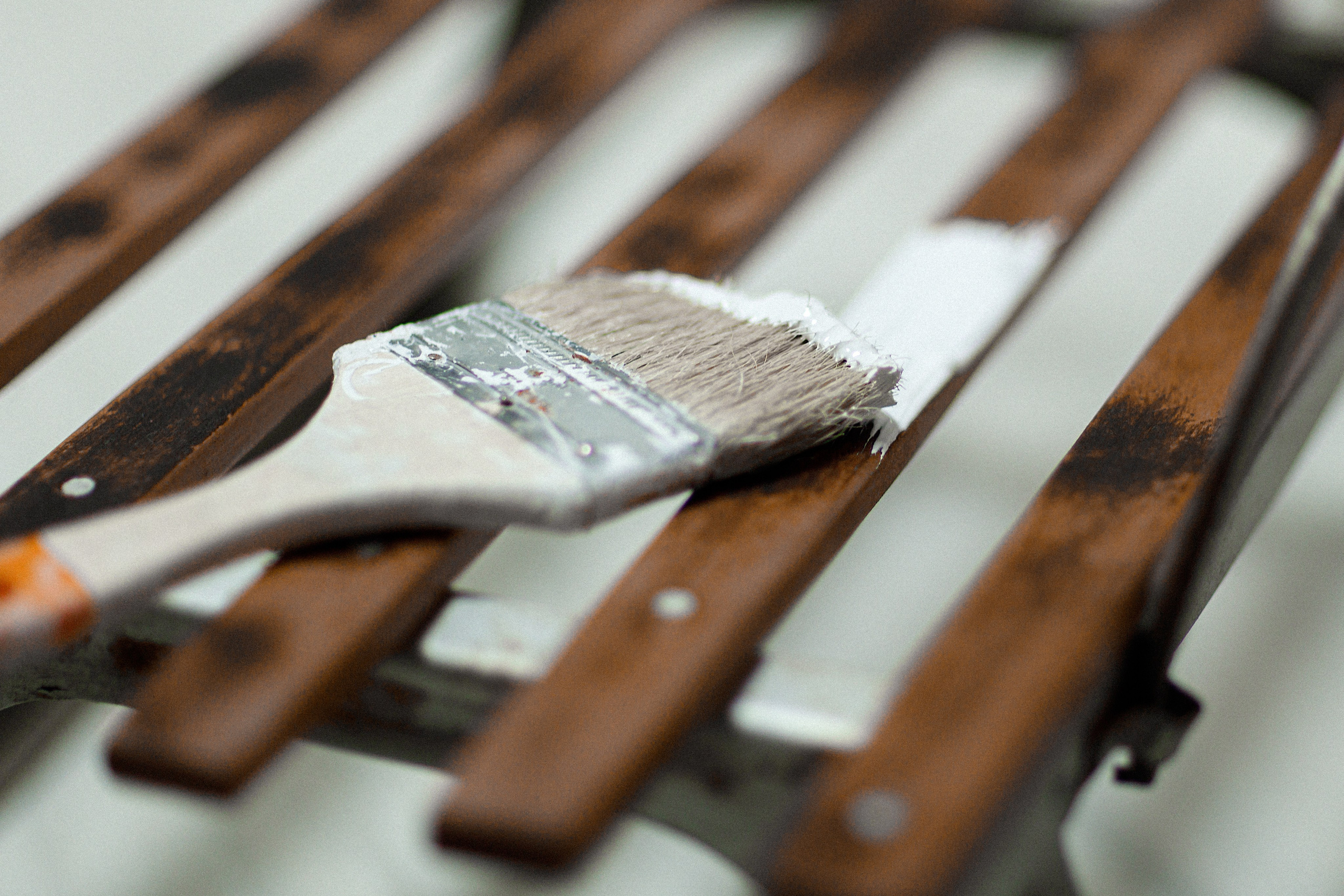 Проект «366»|2024|Фото каждый день. LENA GRACE photographer ||ЛЕНА ГРЭЙС фотограф