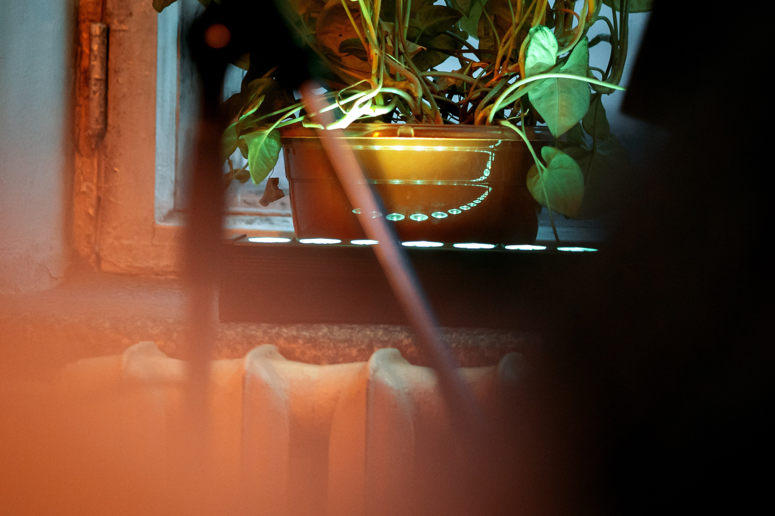 In.spyral. Фотограф Елена Богачева (lenalena_na_na_na)