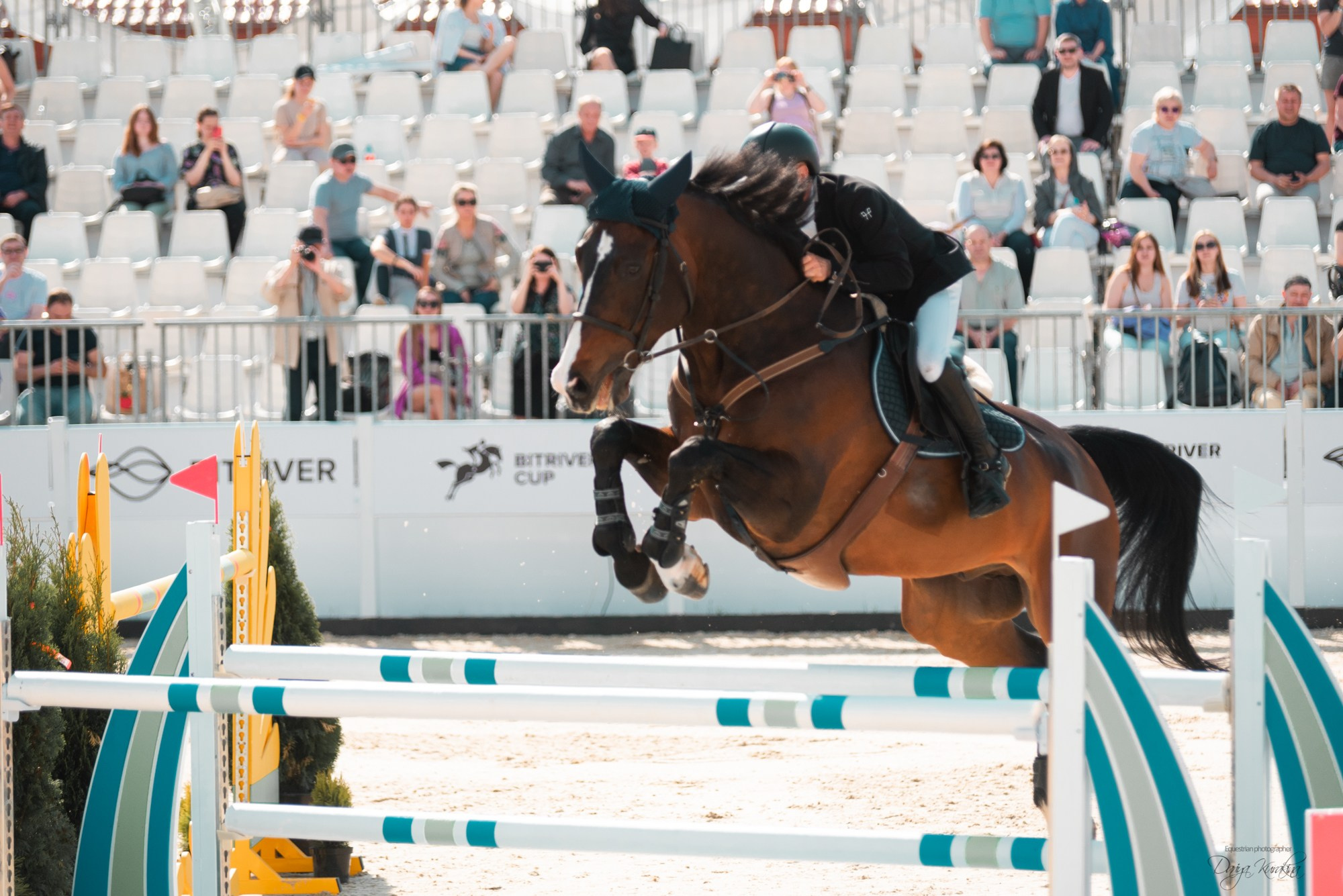 BITRIVER CUP 2023. Конный фотограф Куракина Дарья • Фотосессии с лошадьми