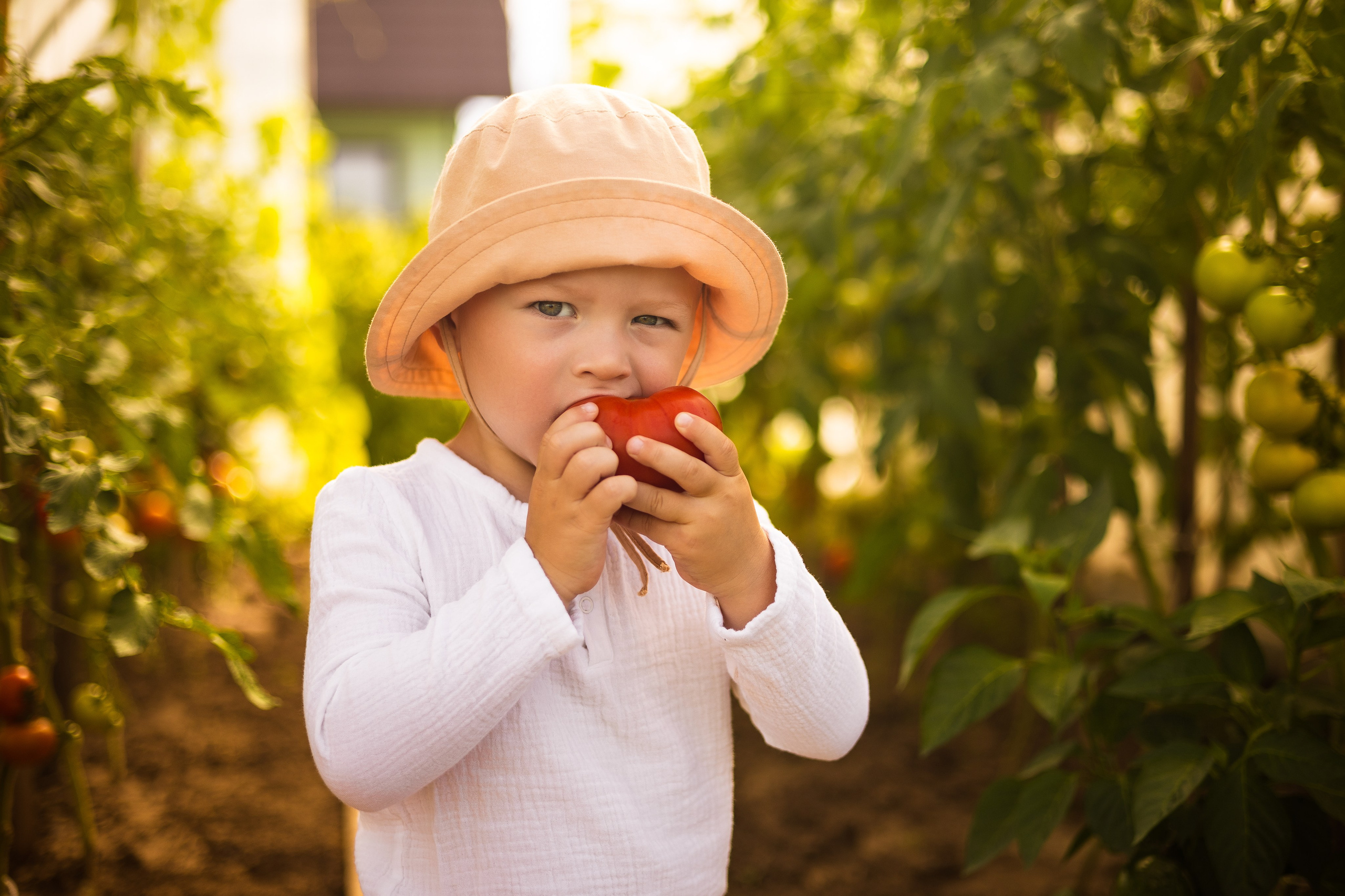 Детская фотосессия. Помидорки. Фотограф Самойлова Анна Архангельск, Северодвинск