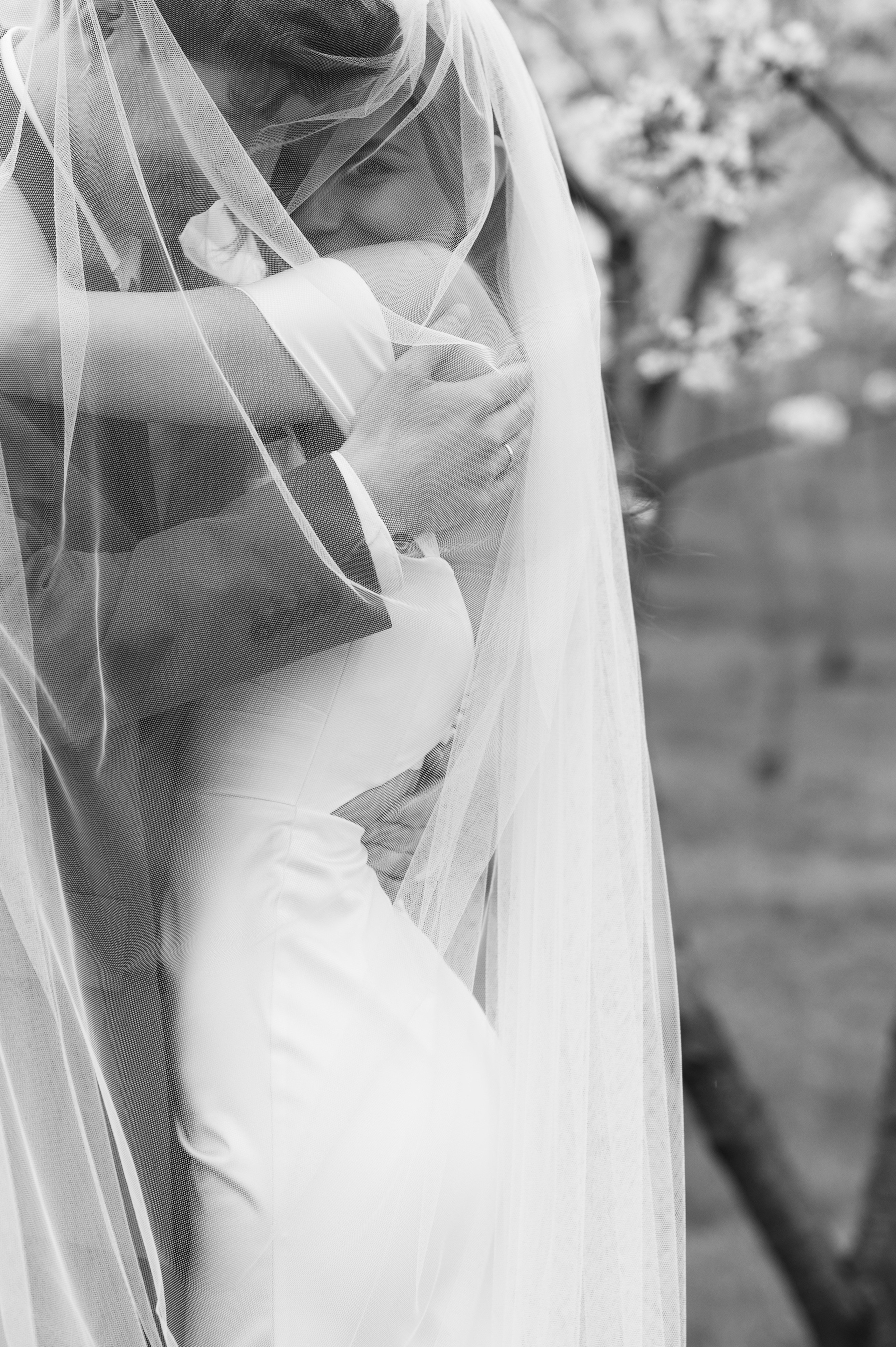 В весеннем цвету. Семейный, свадебный и репортажный фотограф в Москве Анастасия Светлова