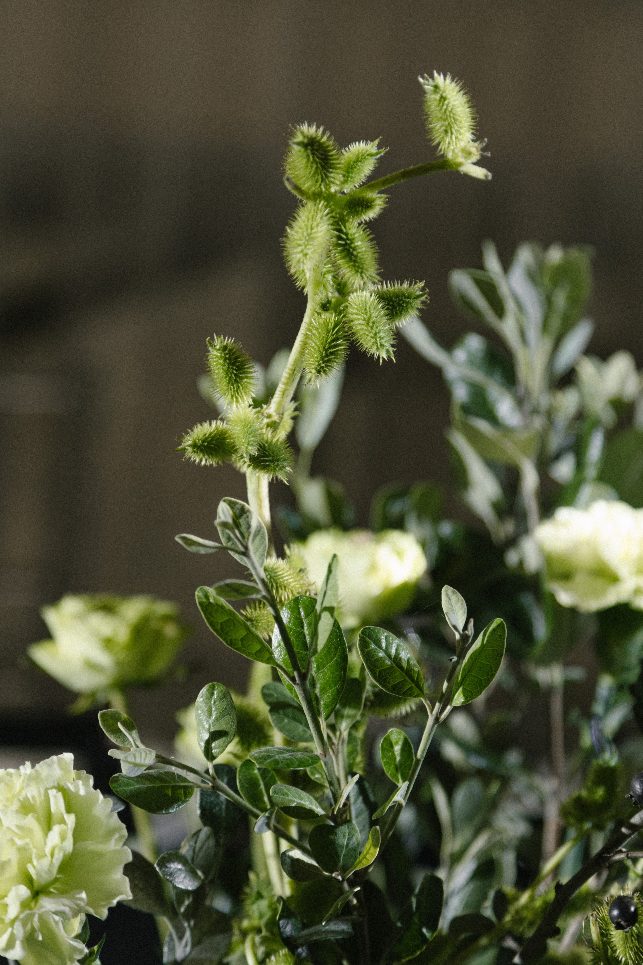 Decor | Серебро