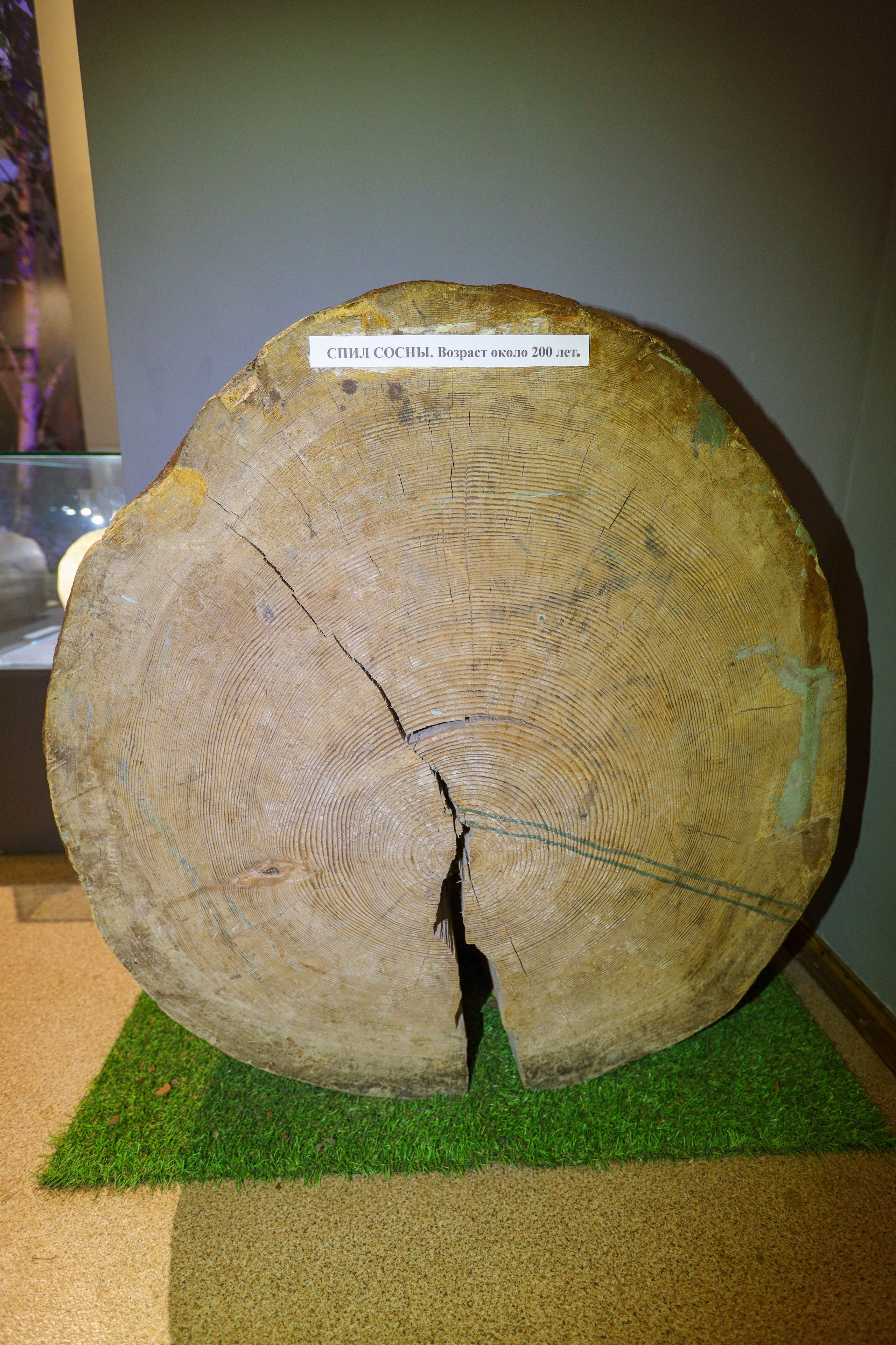 Поездка в Белев и на производство пастилы. Фотограф в Туле Крупский АнДРей. Фотостудия «КАДР71» в Туле