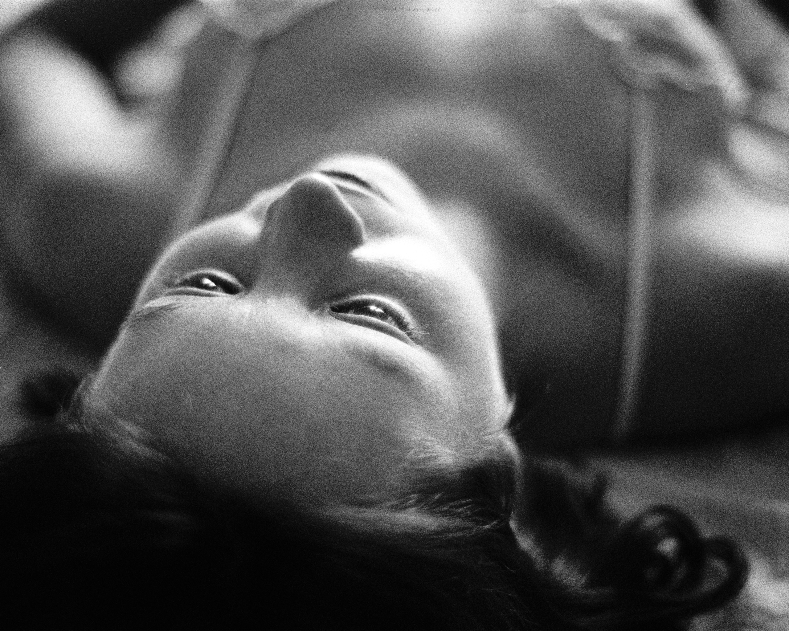 Portraits. Nemowaa