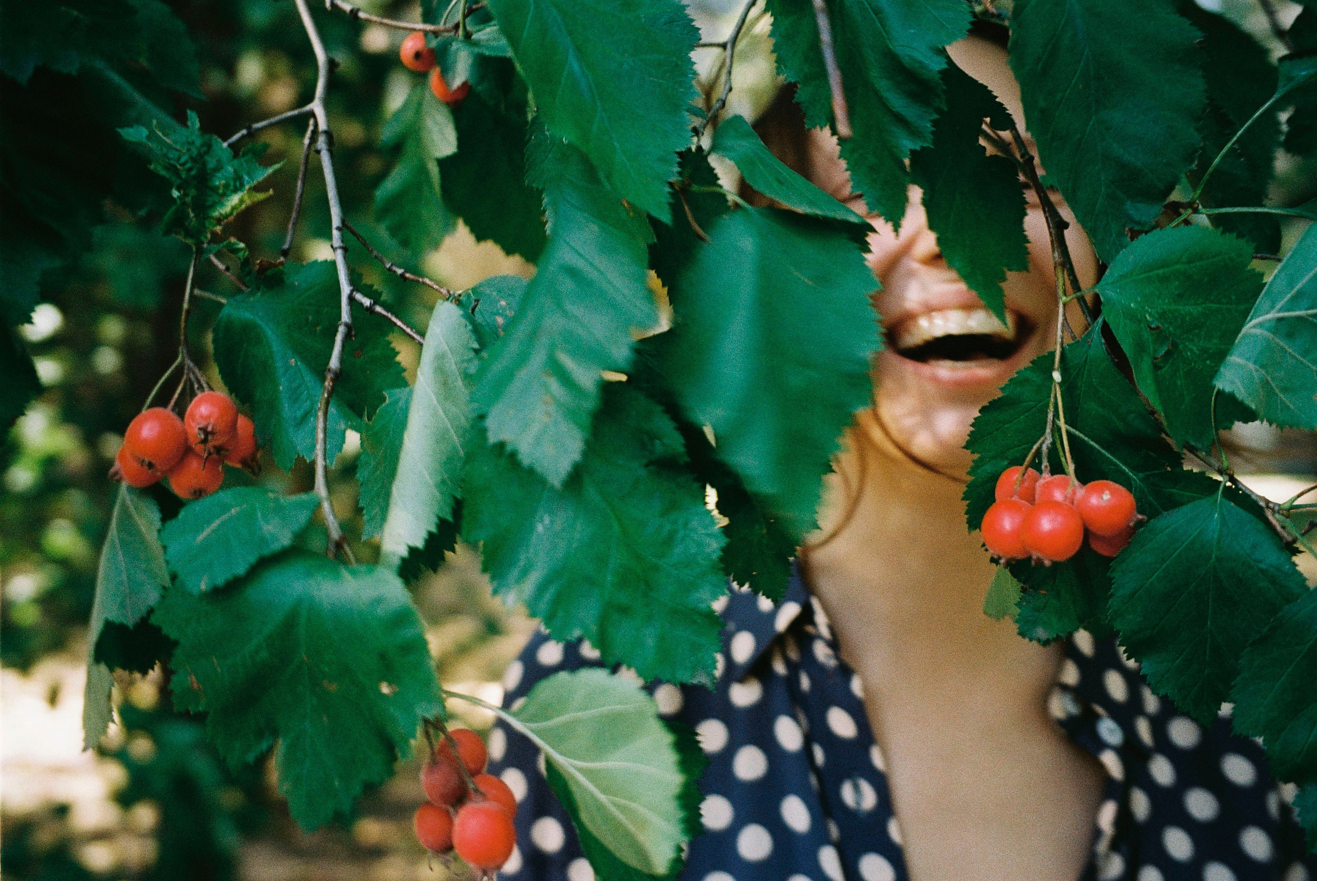 док портрет