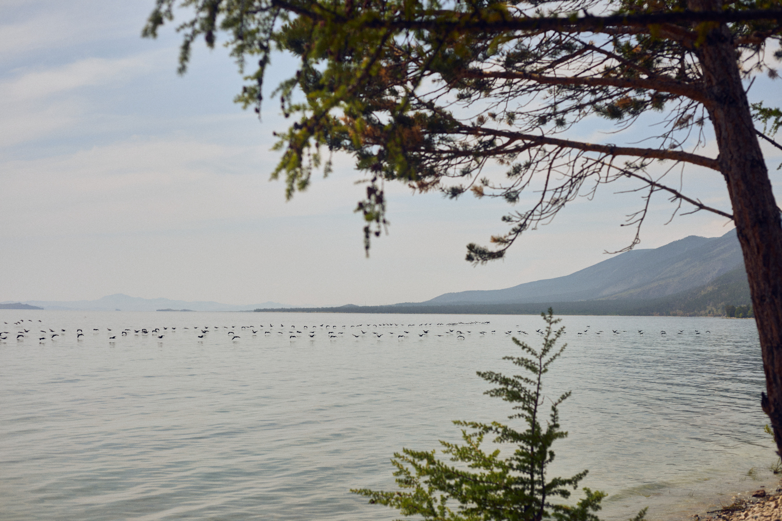 1 сезон. 1642 — первый лагерь для взрослых на Байкале