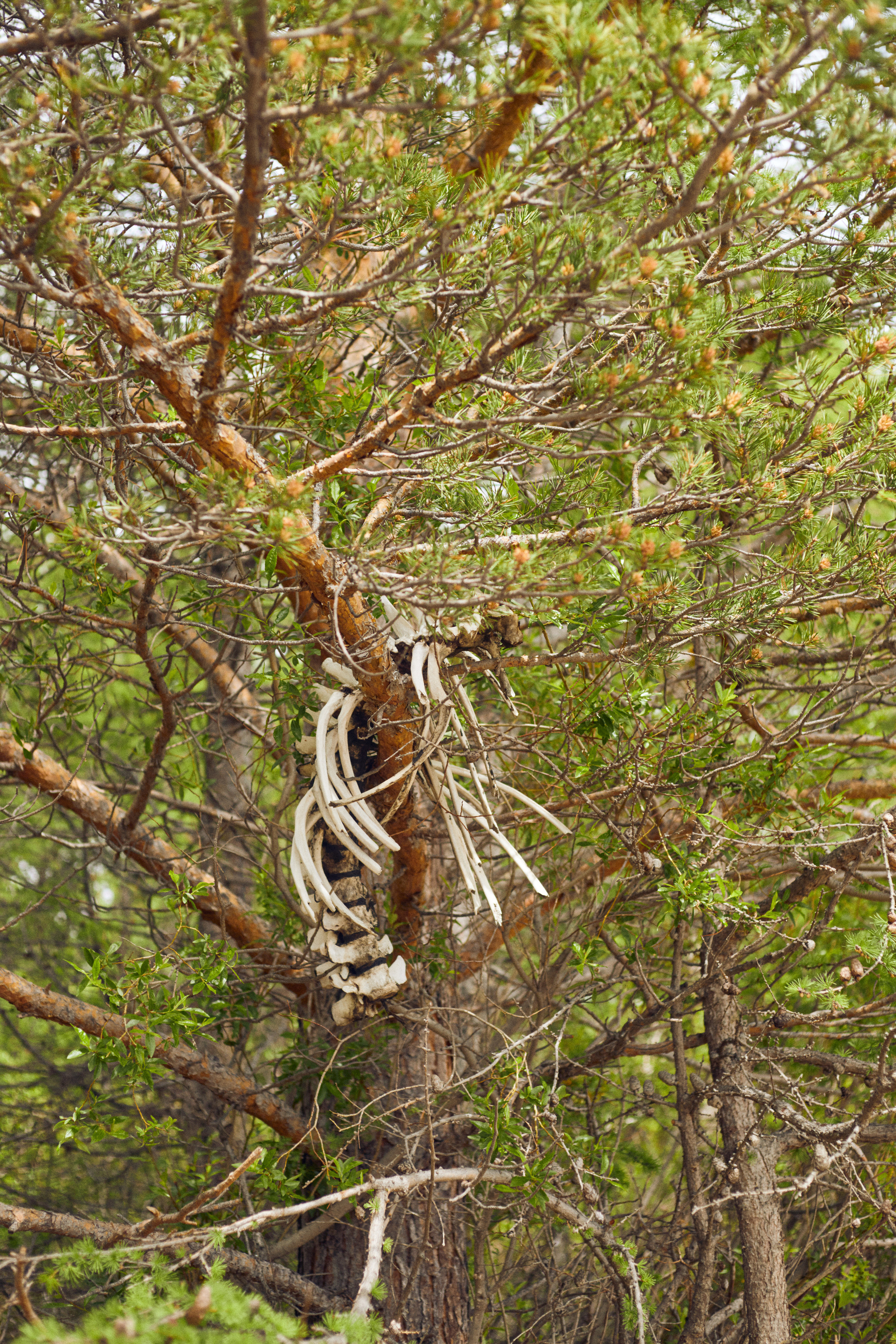 1 сезон. 1642 — первый лагерь для взрослых на Байкале
