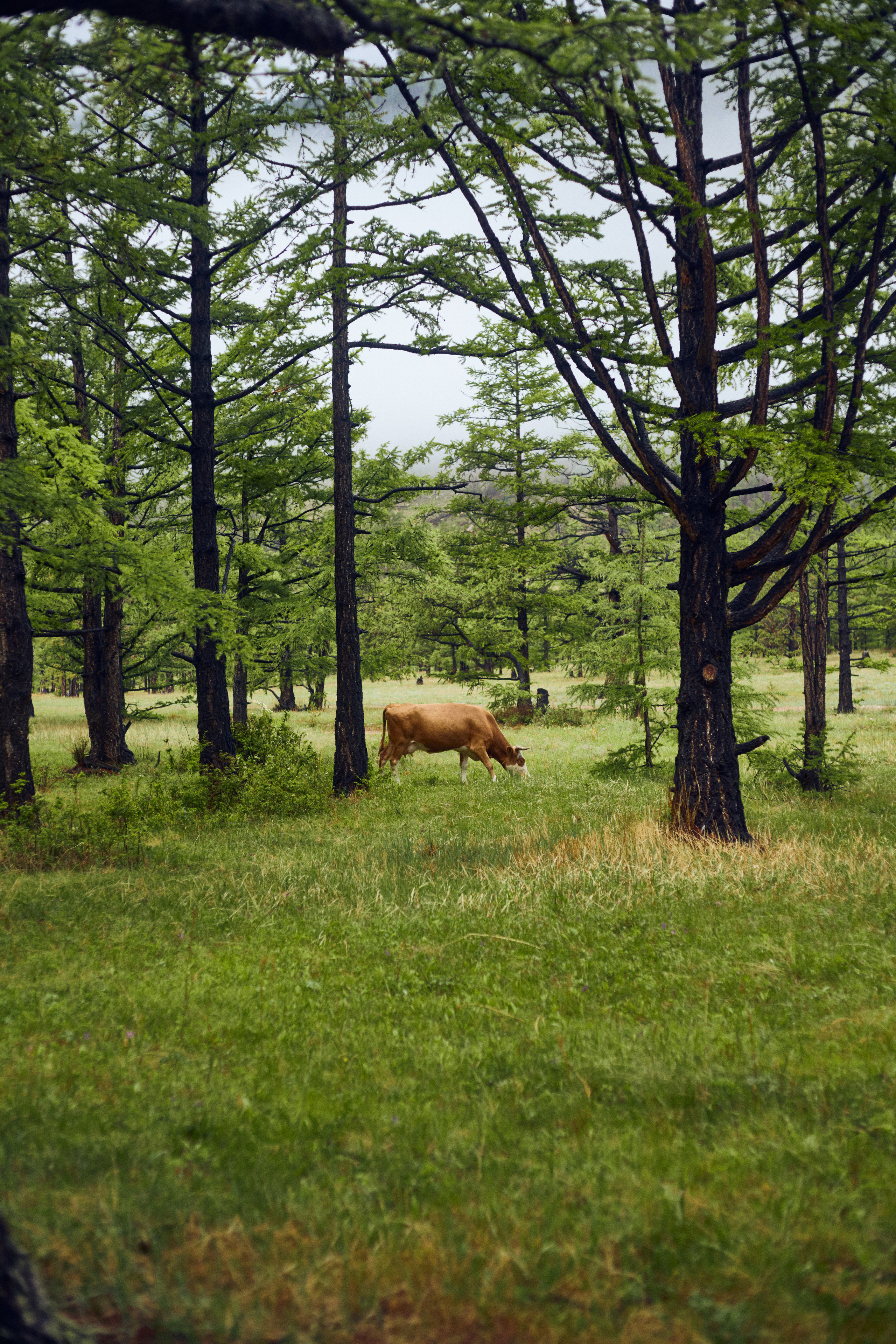 1 сезон. 1642 — первый лагерь для взрослых на Байкале