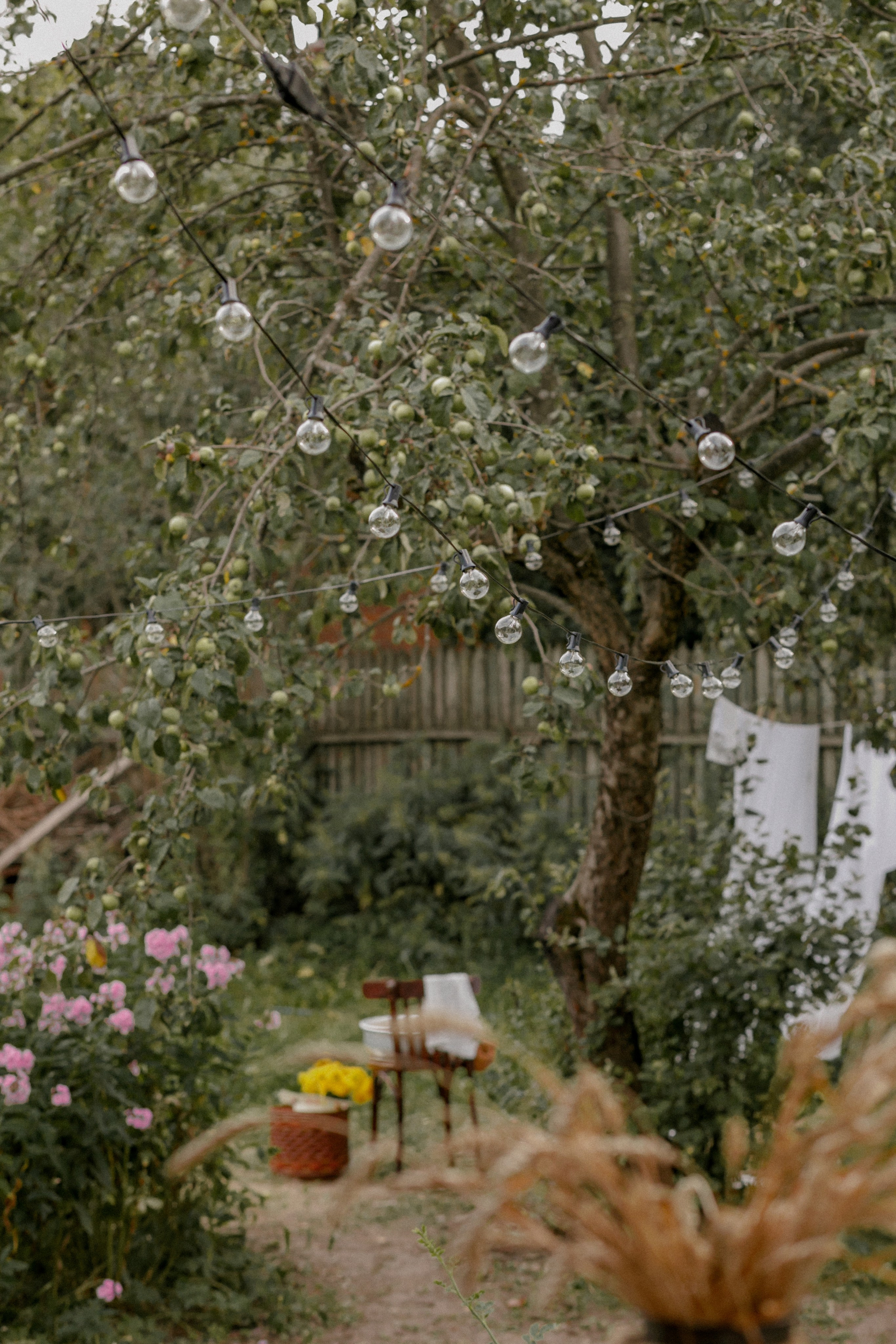 Инна + Андрей + Николь. Главная