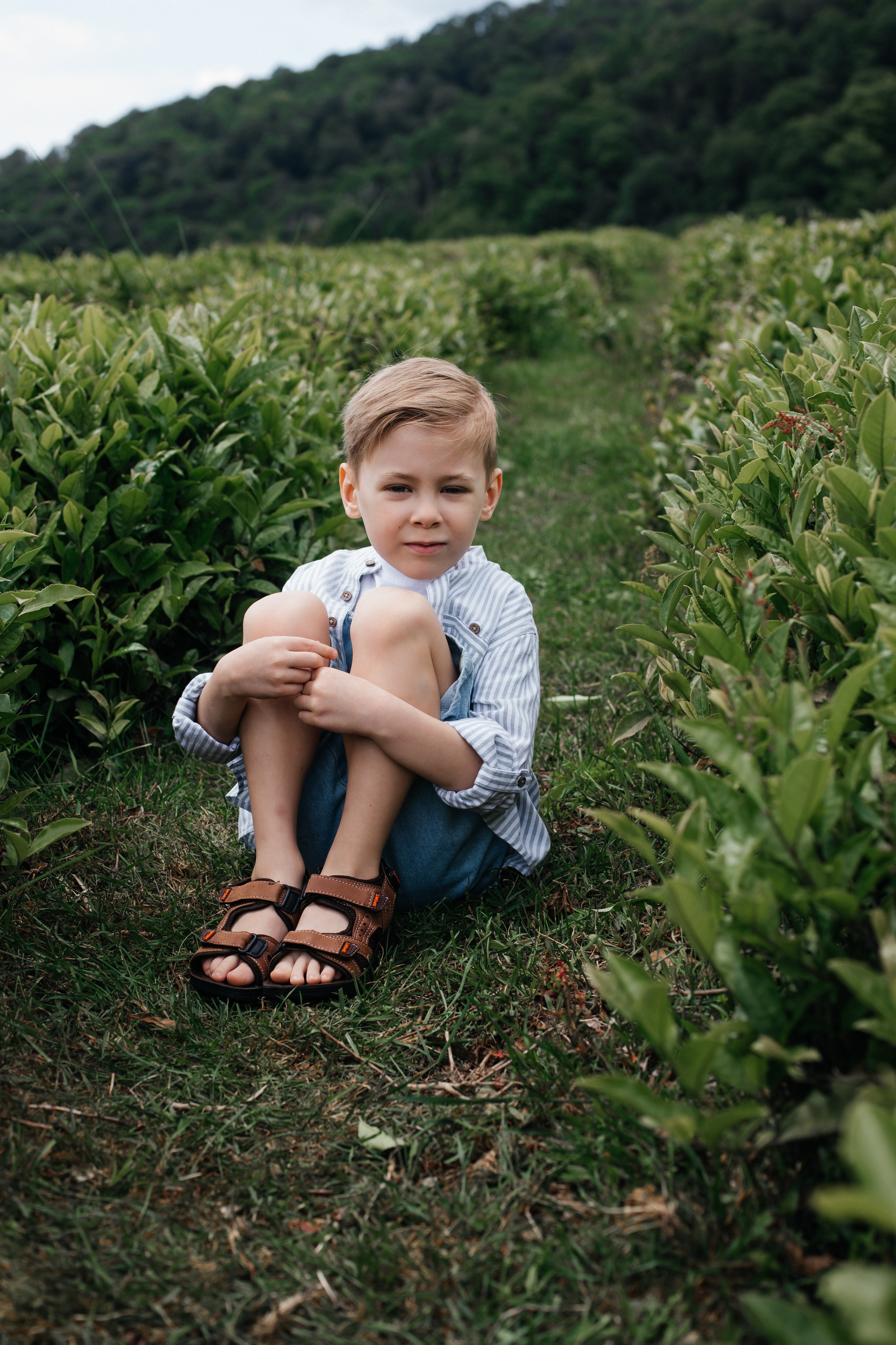 Tea plantation. Efimova Model Agency