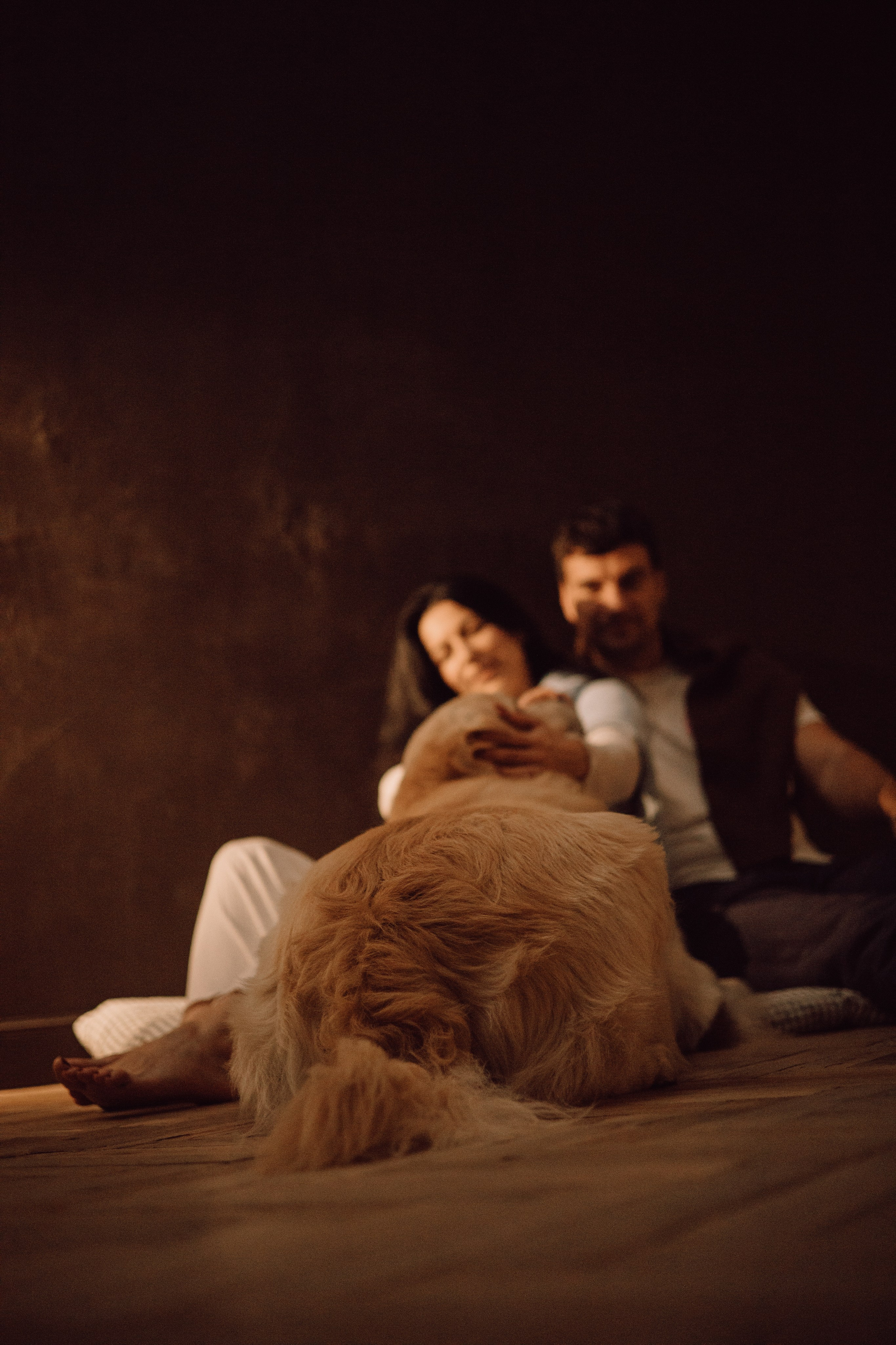 Лёва и его семья. Фотограф — анималист •love-story•|Санкт-Петербург