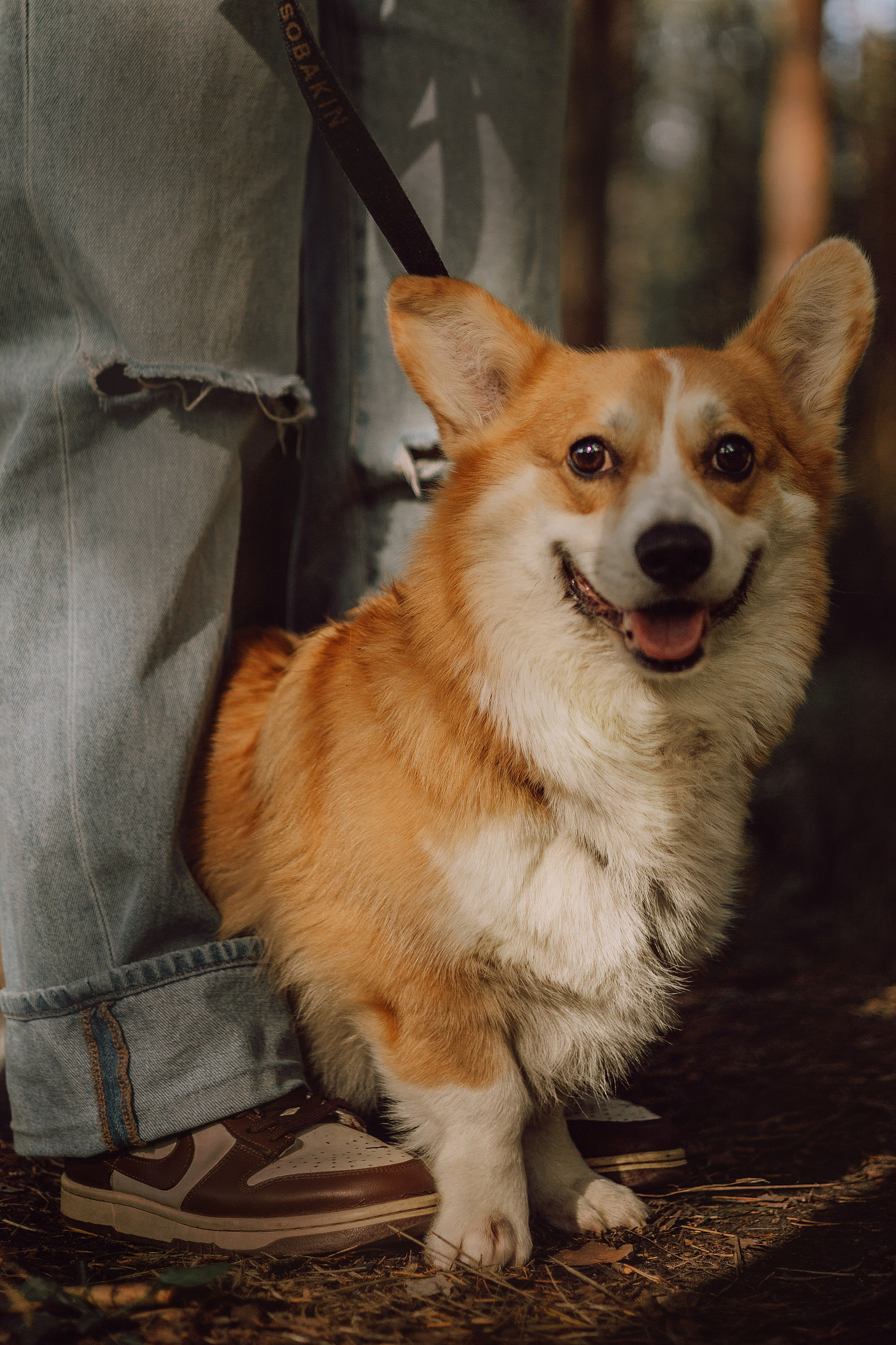 Мари & Йосик. Фотограф — анималист •love-story•|Санкт-Петербург