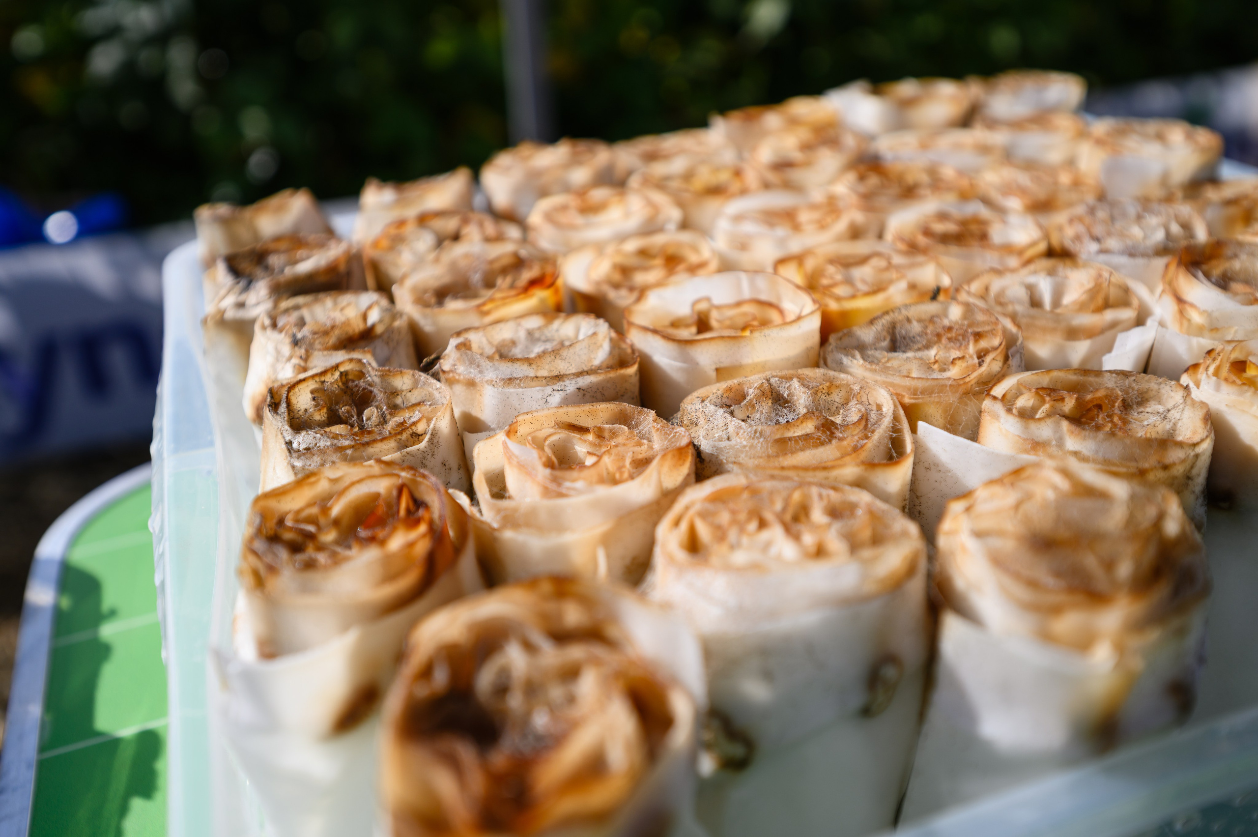 Проекты. Профессиональный фотограф Вячеслав Плацында | Липецк |