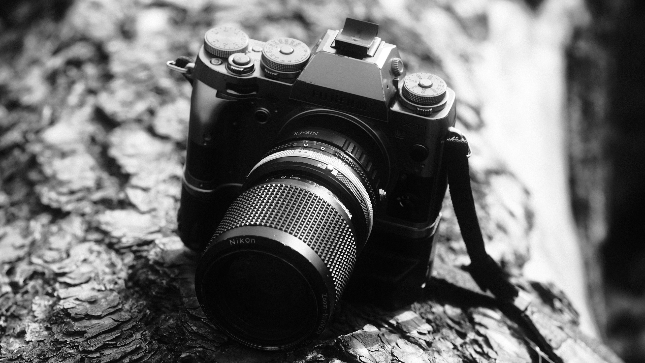 ЧБ. Фотограф-любитель из Кирова Андрей Погребняк